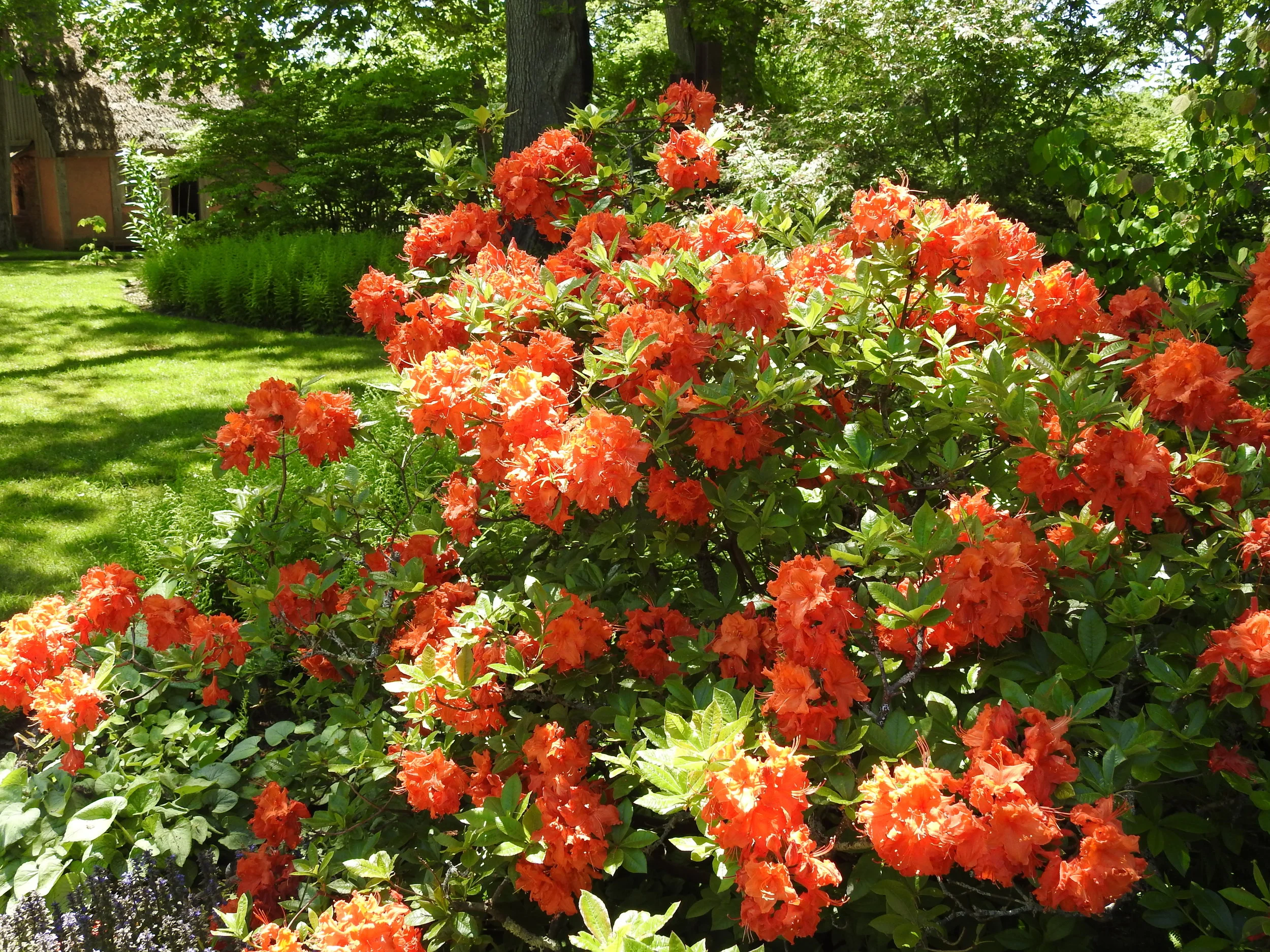 Historic Gardens - Annapolis Royal