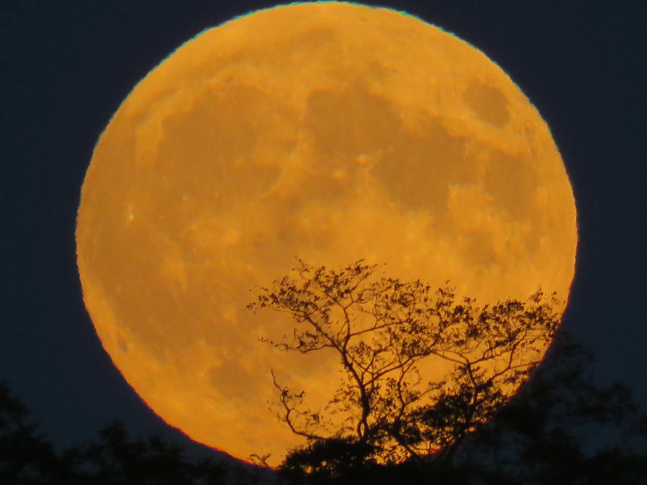 Blood Moon at Mahone Bay