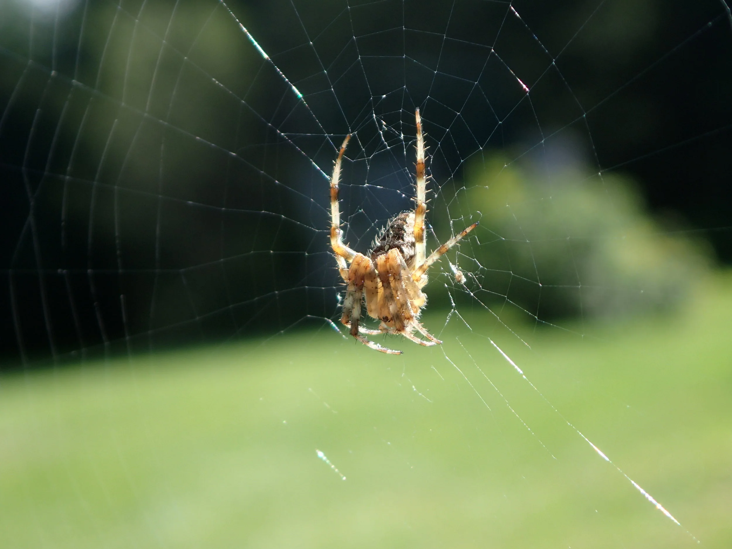 Sept 25-29 Phil red 004.JPG