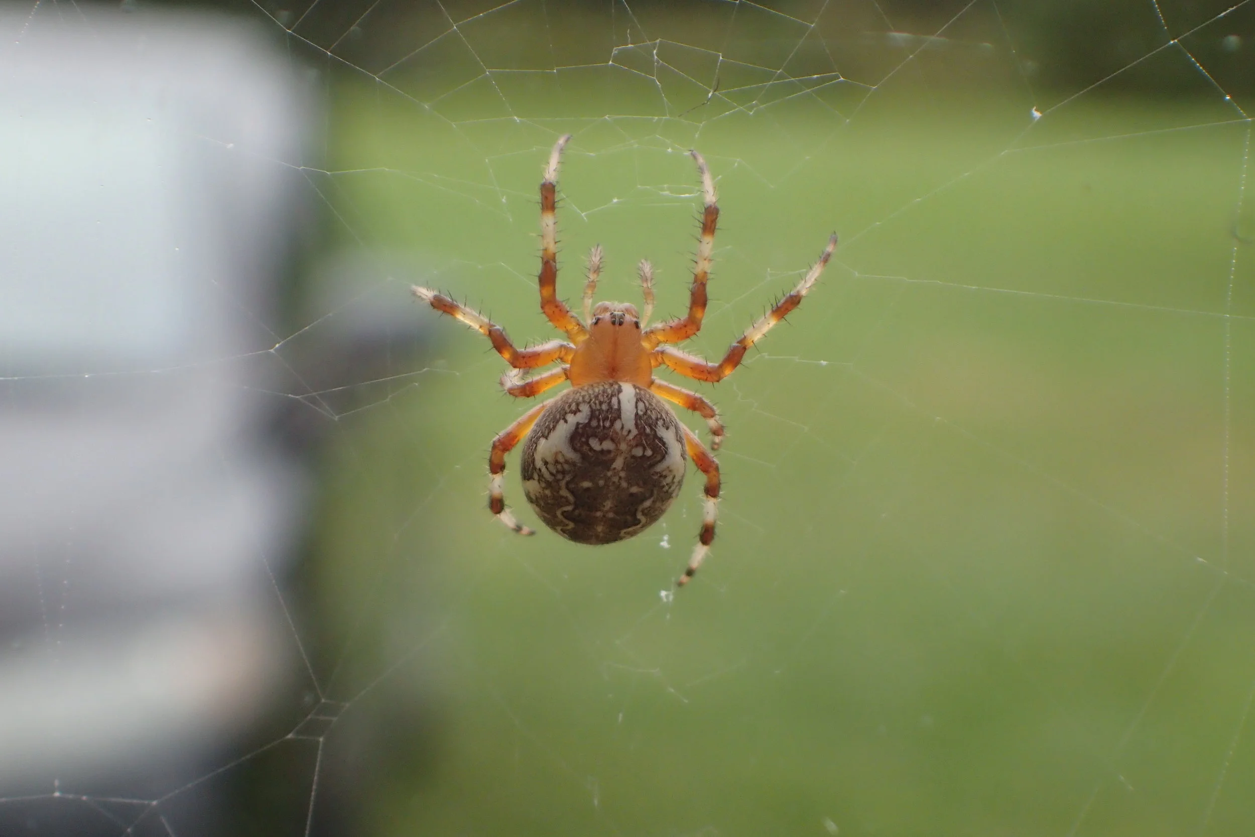 Sept 25-29 Phil red 021.JPG