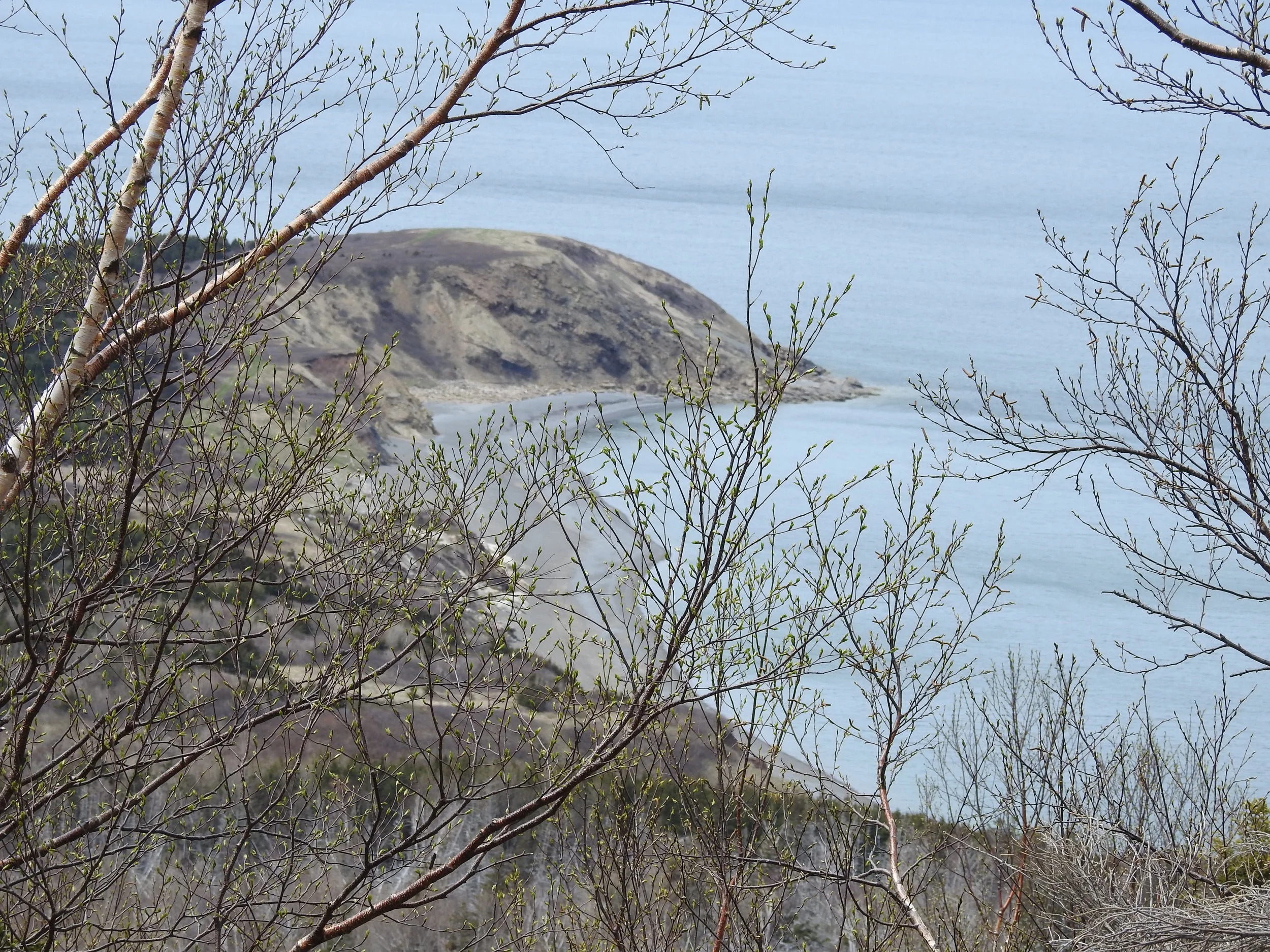 Fair Alistar's Trail