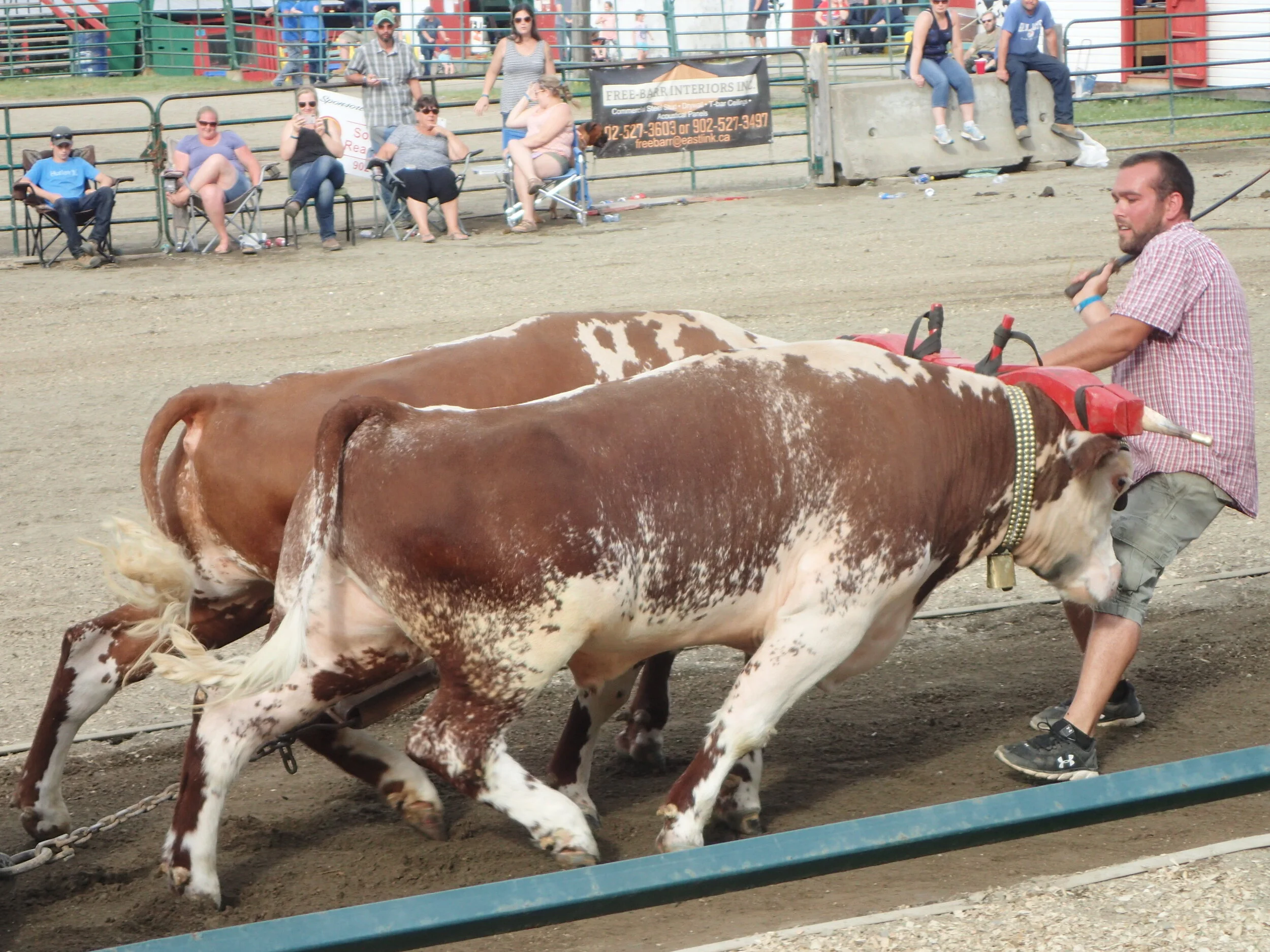 South Shore Exhibition - Phil Wallace Photo posted with his permission