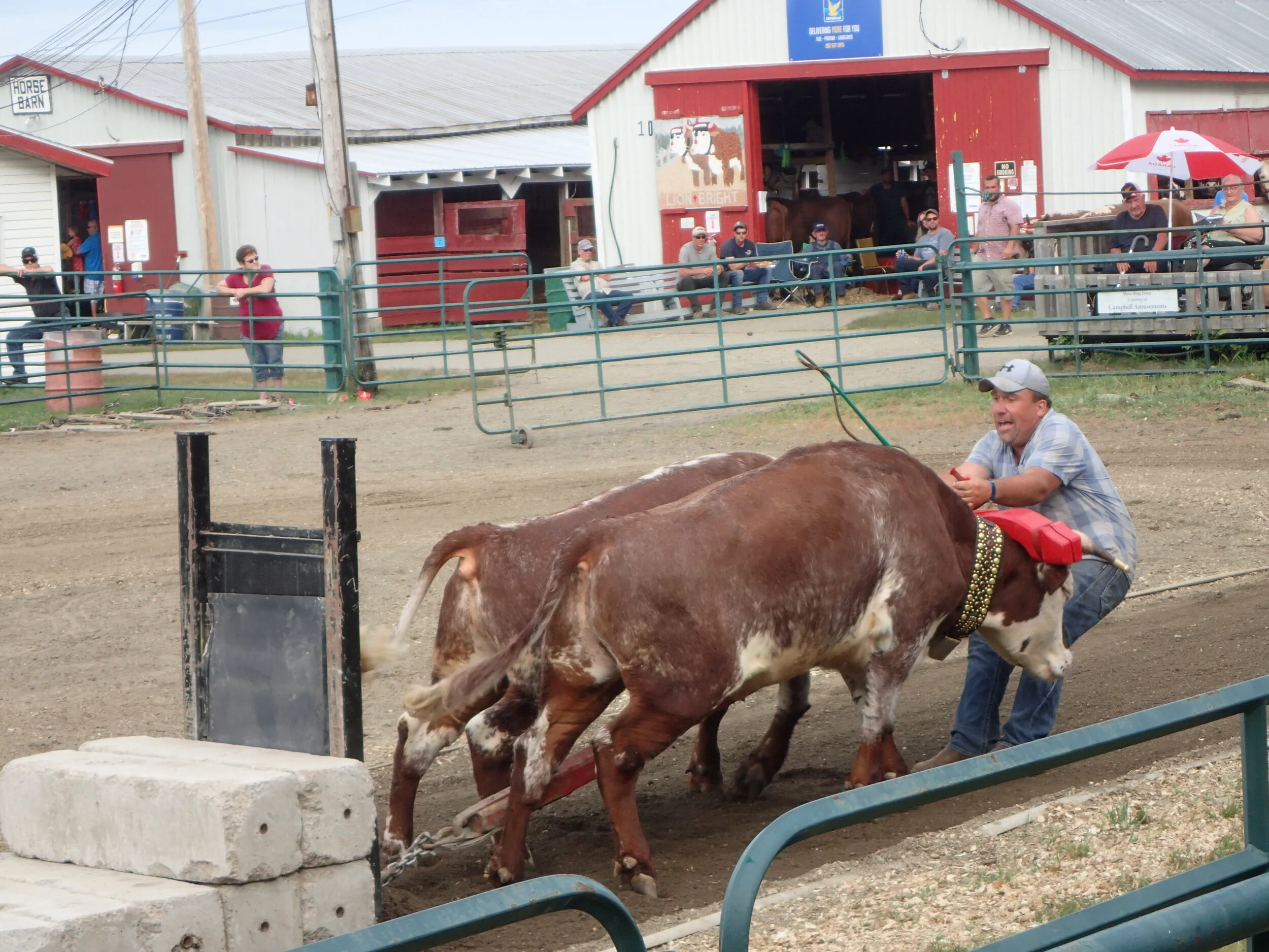 South Shore Exhibition - Phil Wallace Photo posted with his permission