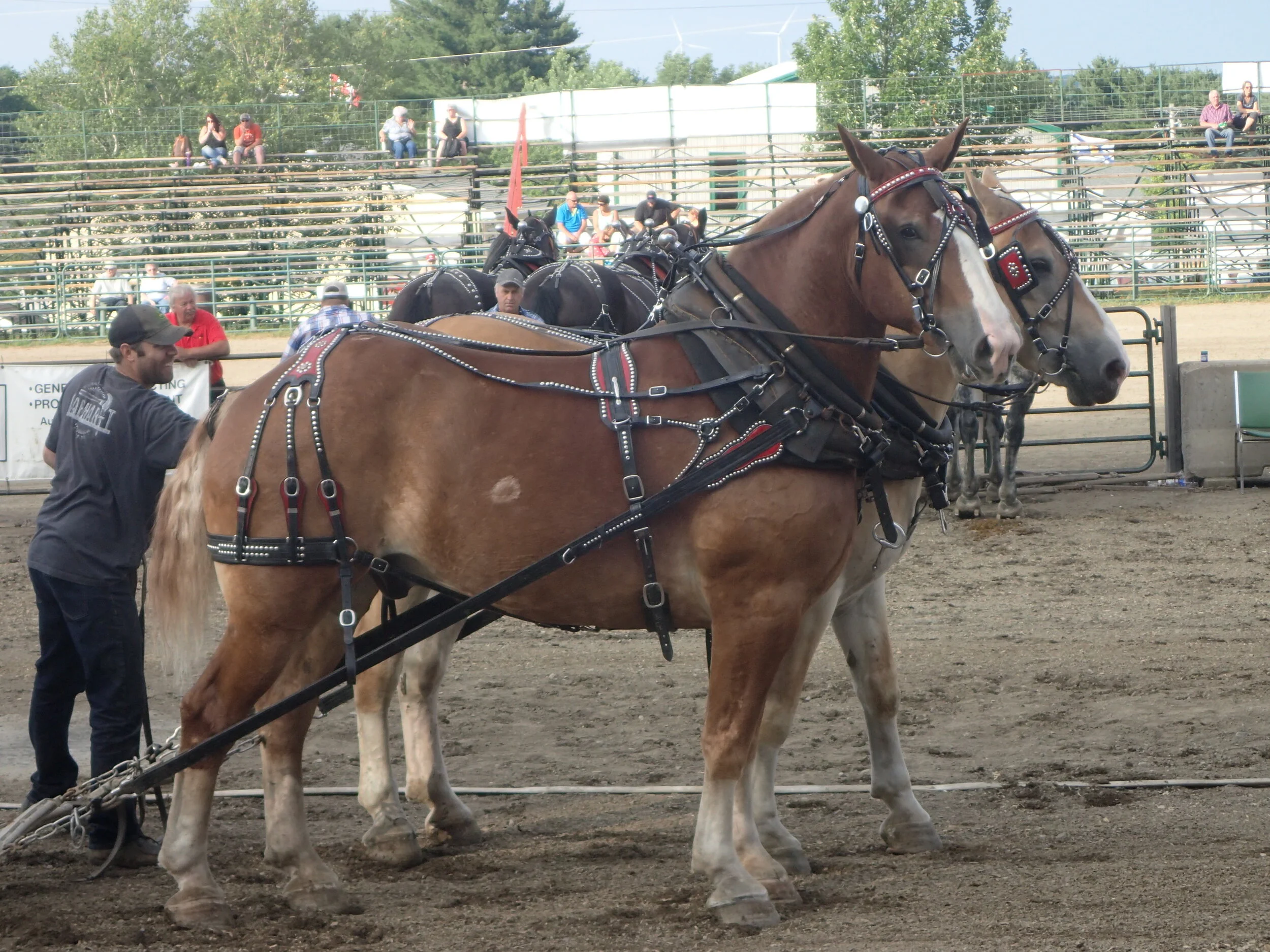 South Shore Exhibition - Phil Wallace Photo posted with his permission