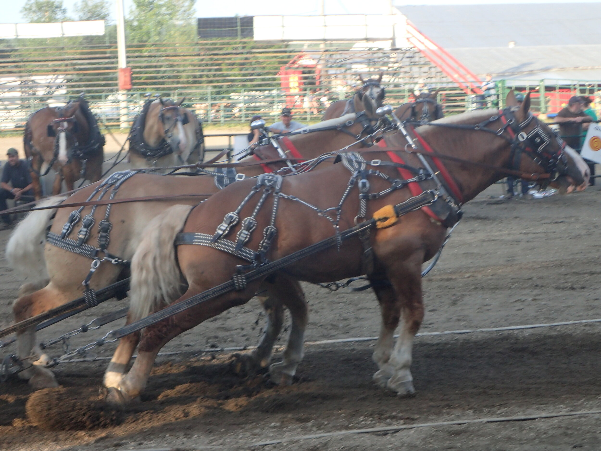 South Shore Exhibition - Phil Wallace Photo posted with his permission