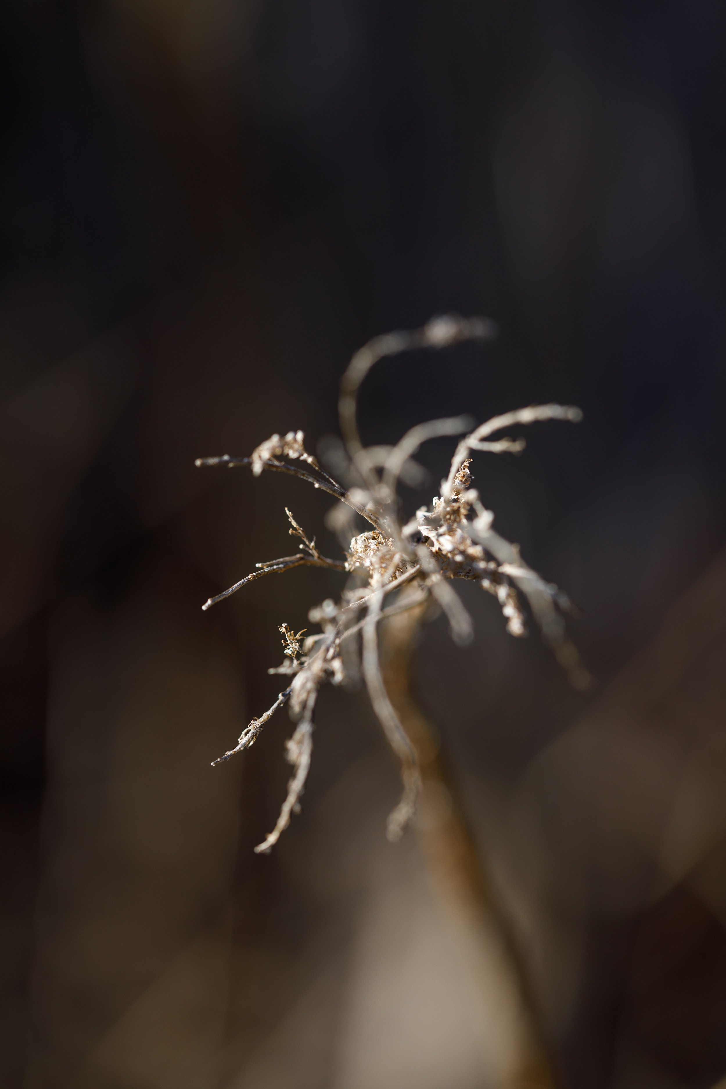 untitled-0345.jpg