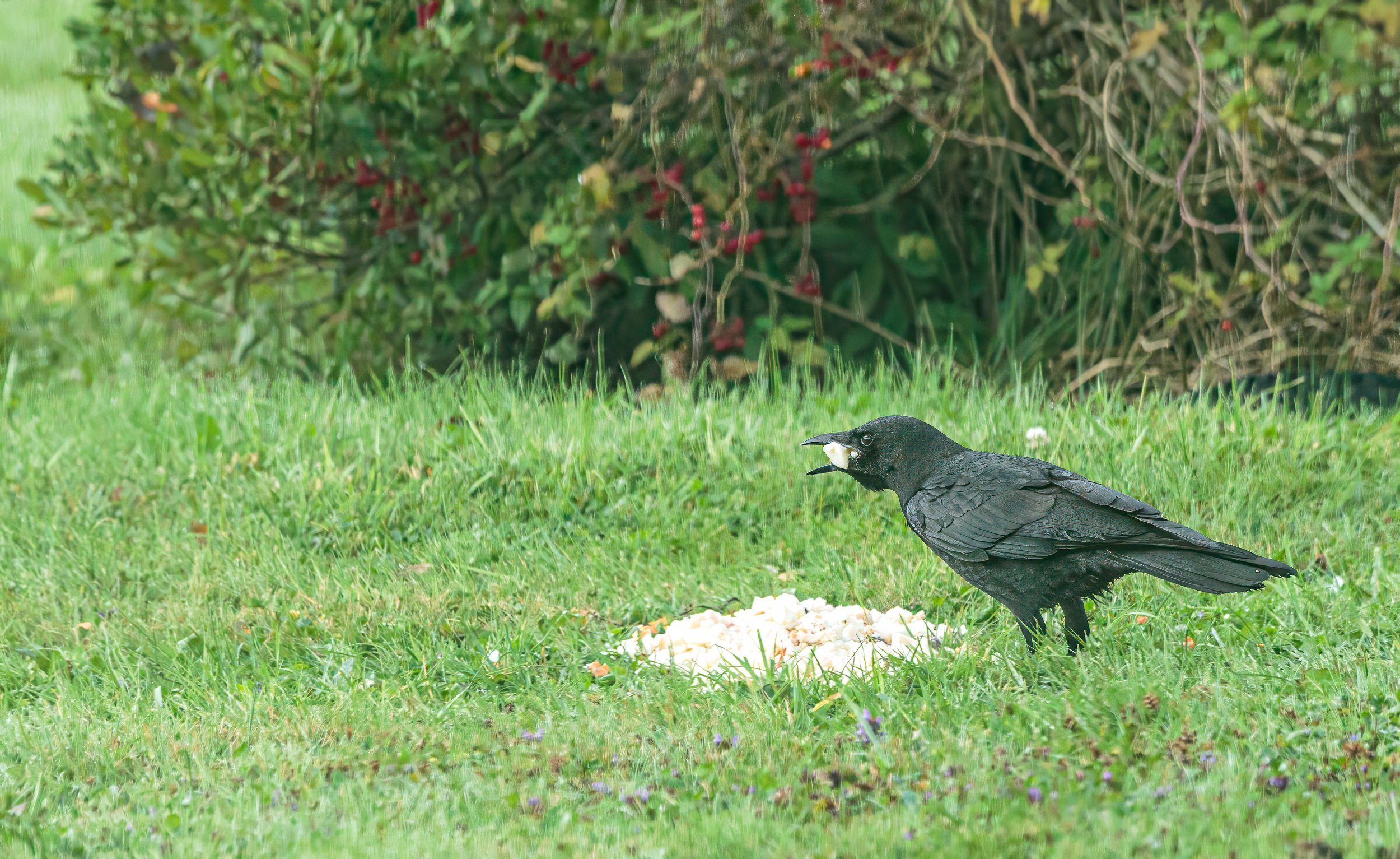 Friends Enjoying Lunch