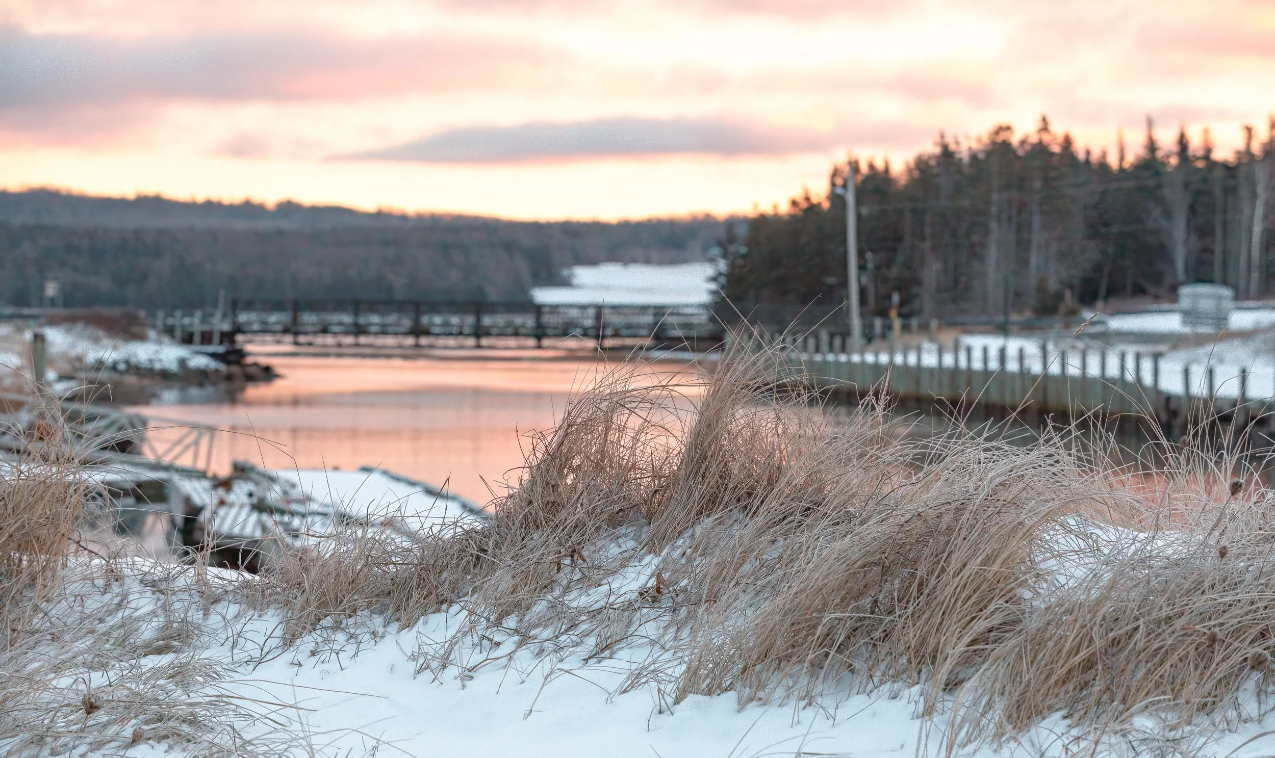 Little Judique Harbour