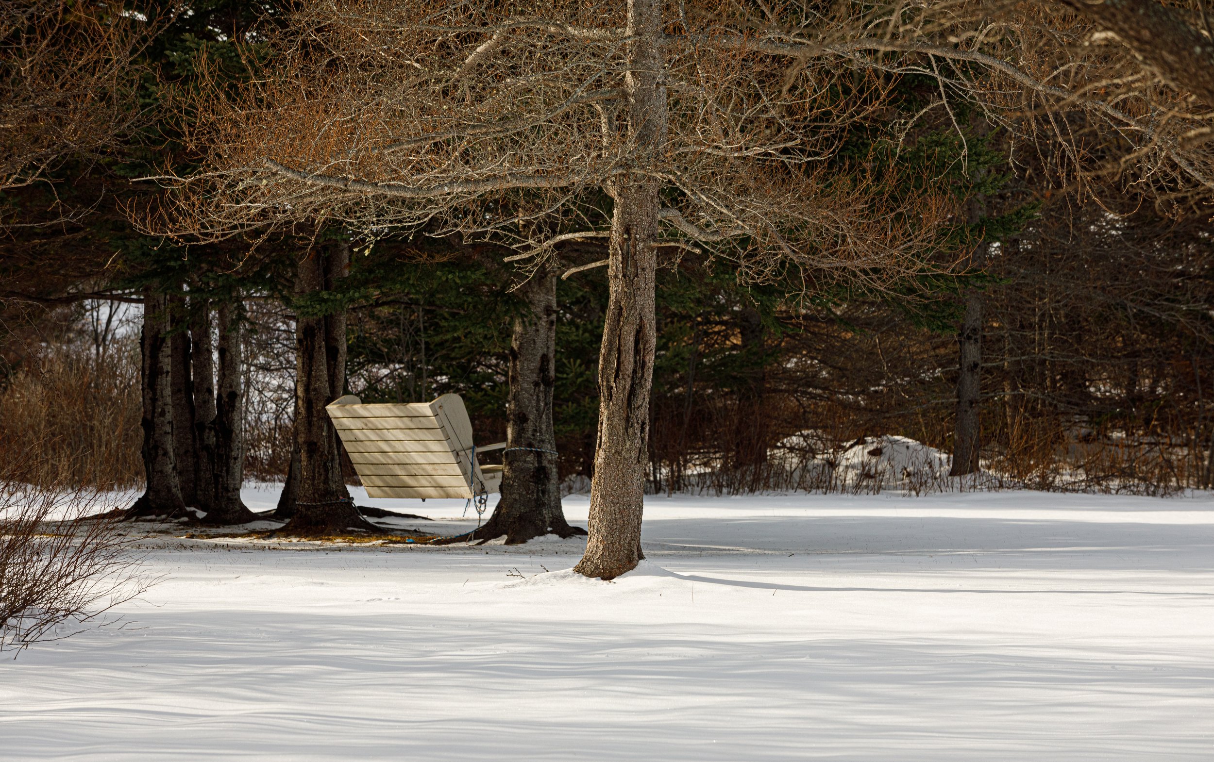 Swinging Chair in Winter