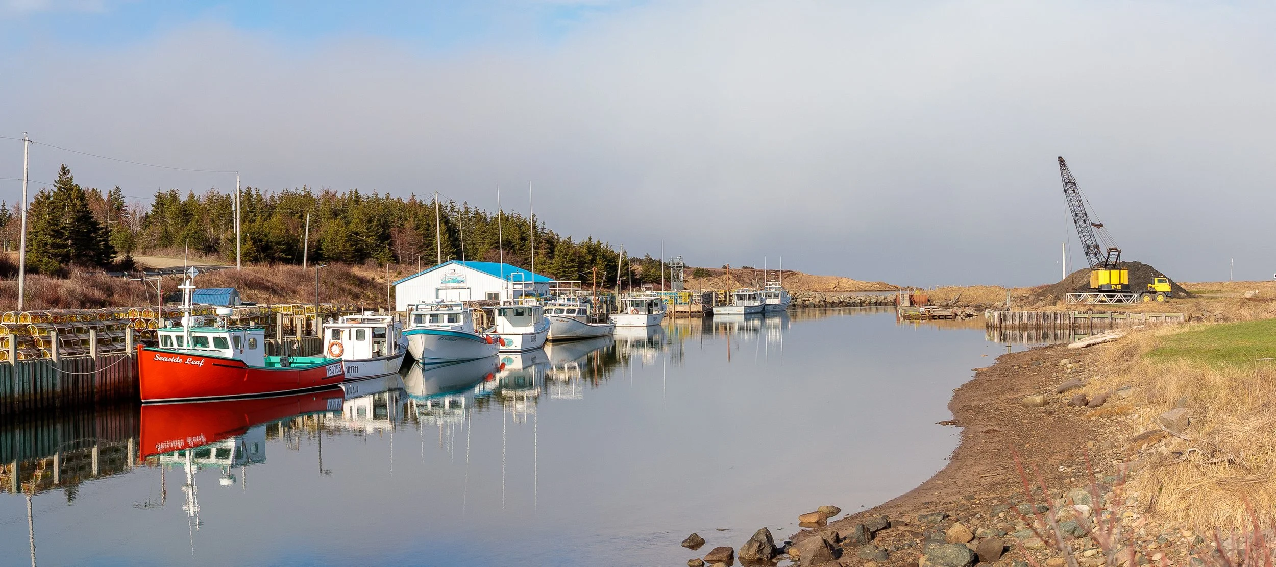 Little Judique Harbour
