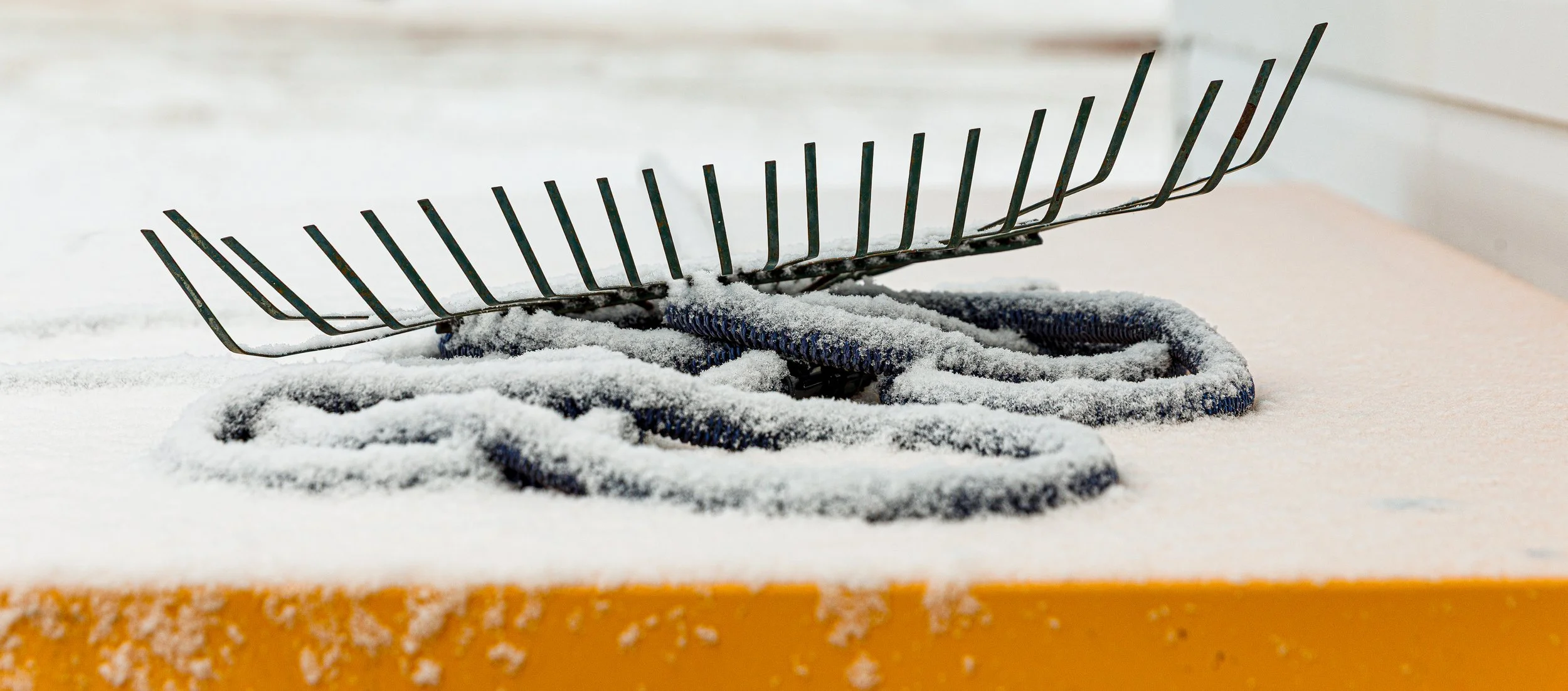 Spring Snow