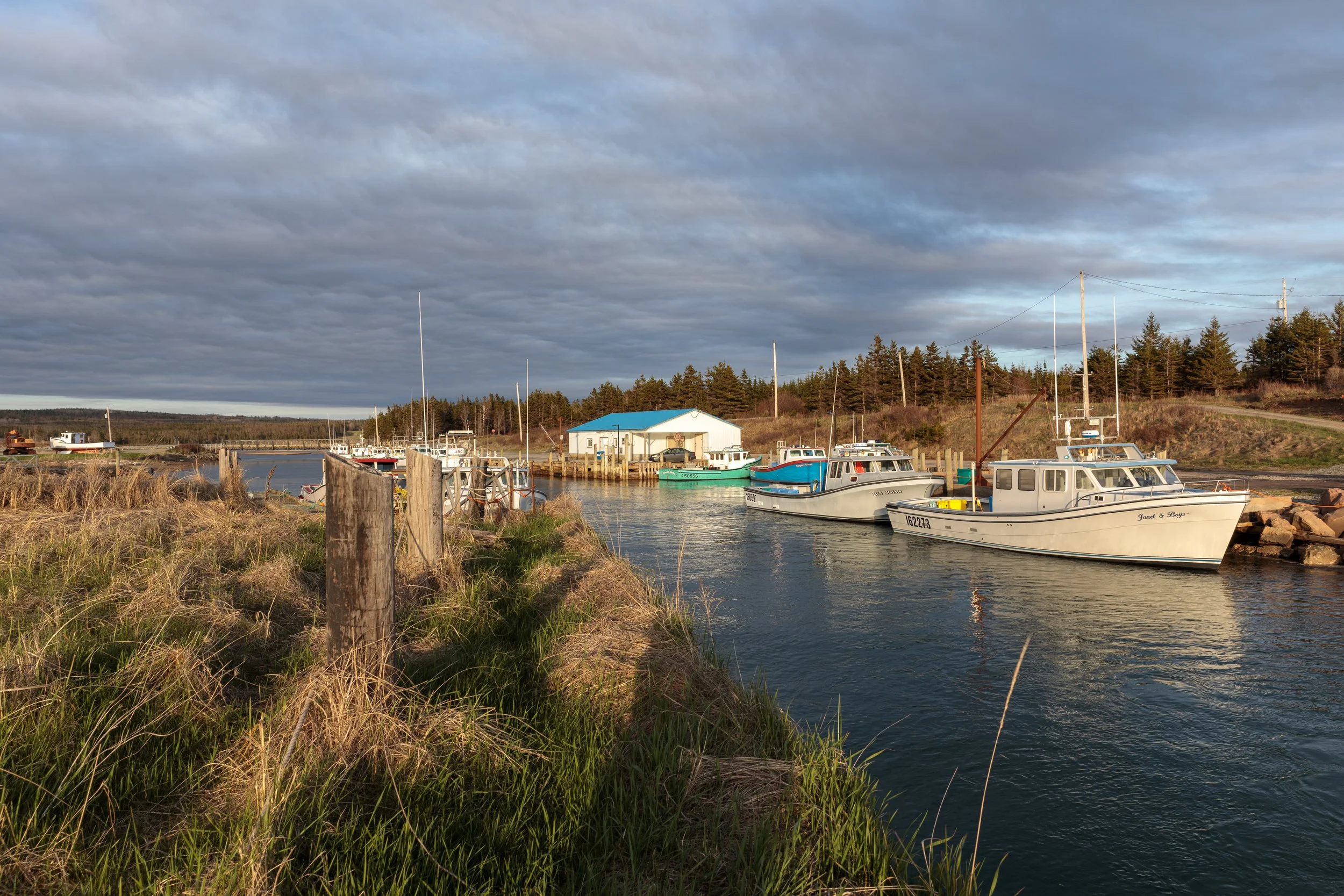 Little Judique Harbour