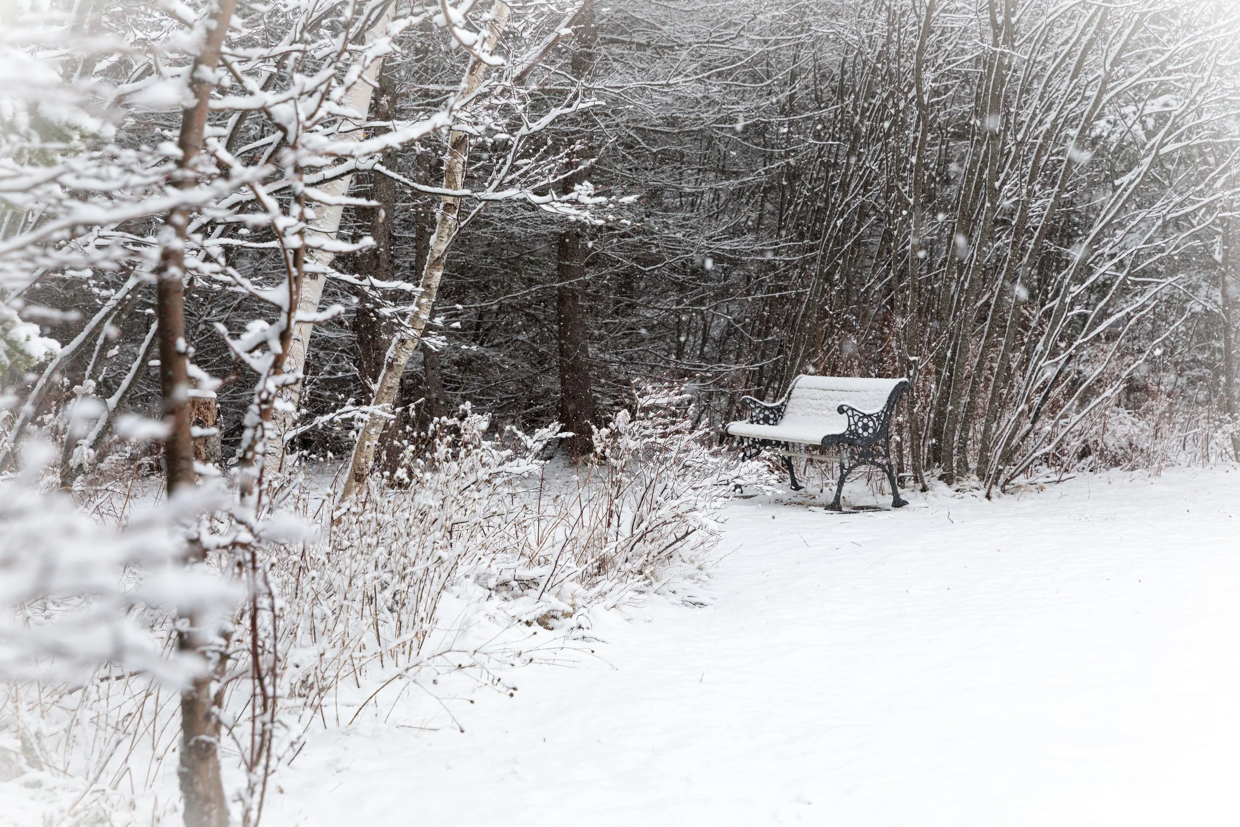 Late Spring Snow
