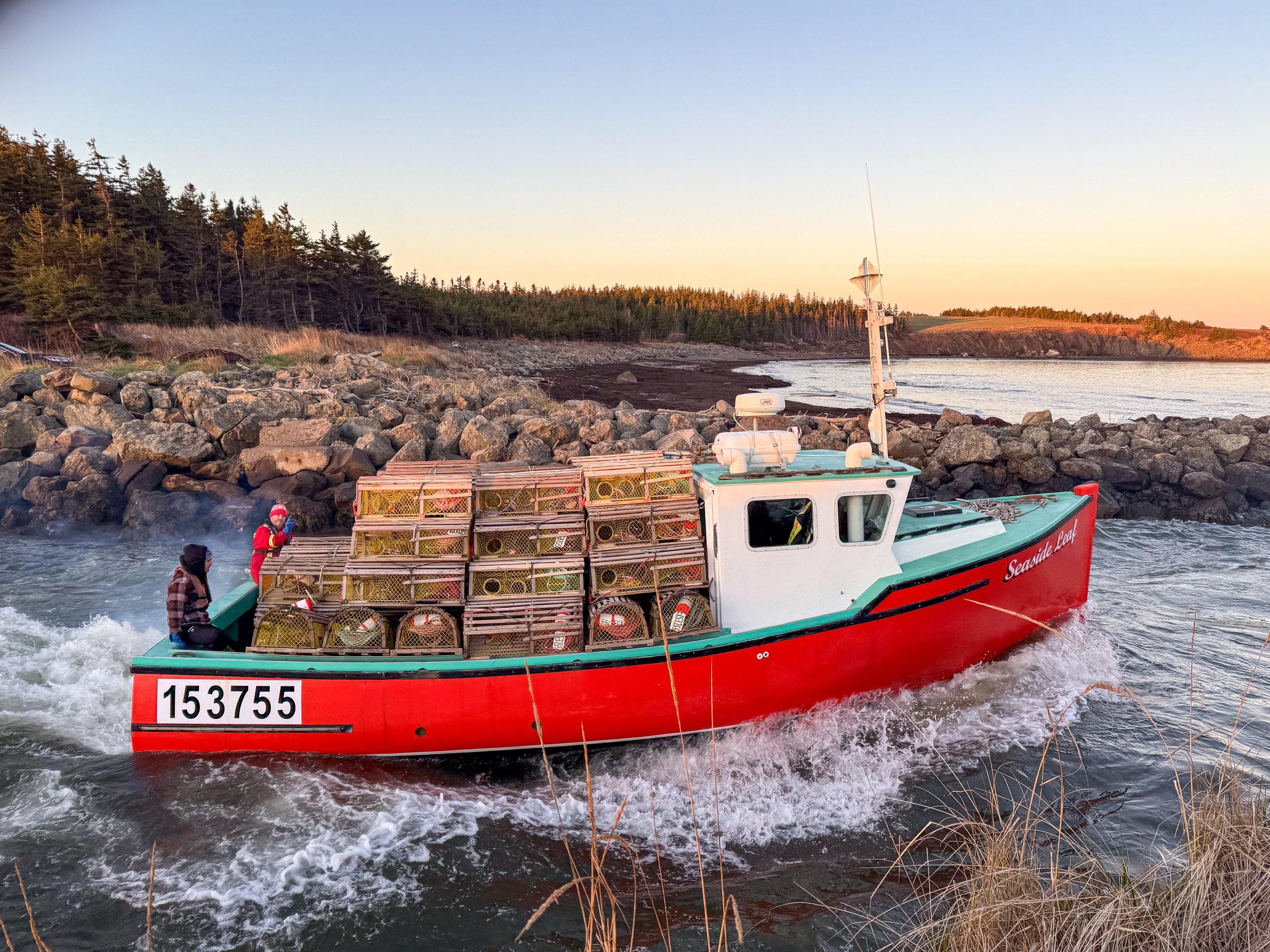 Trap Setting - First Day of Lobster Season!