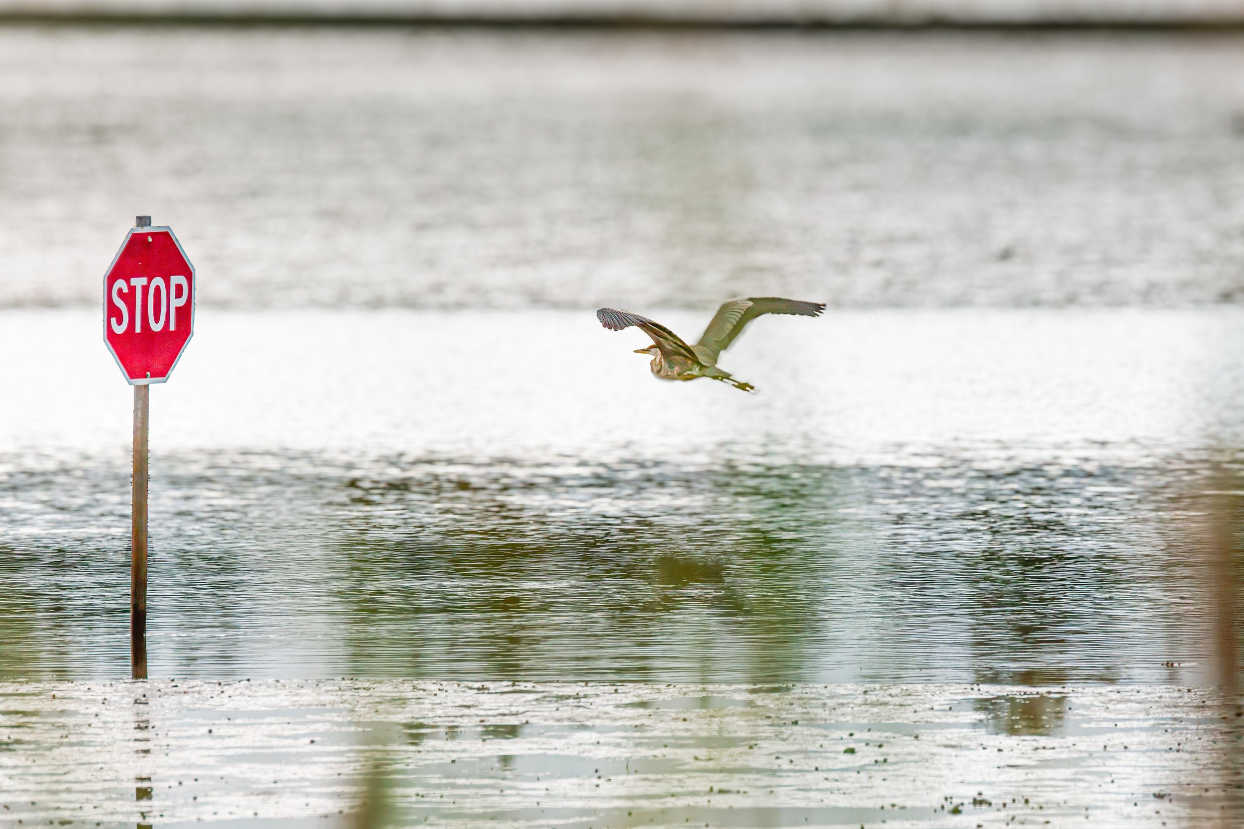 Little Judique: Back Harbour