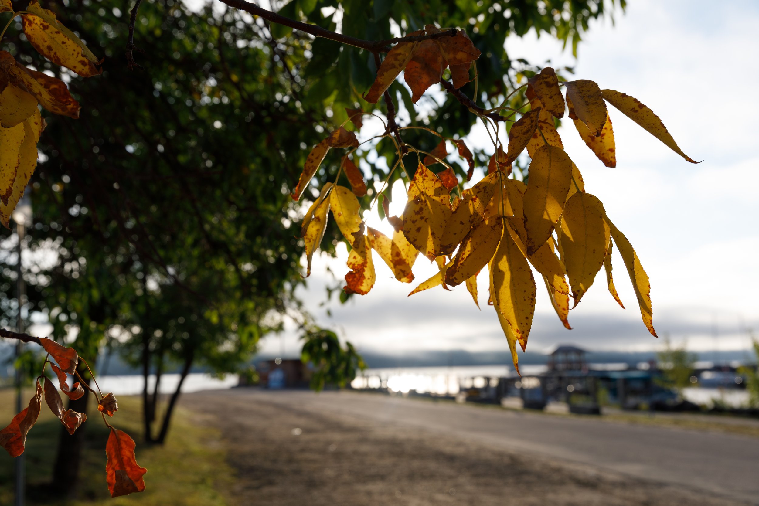 Deep River Marina