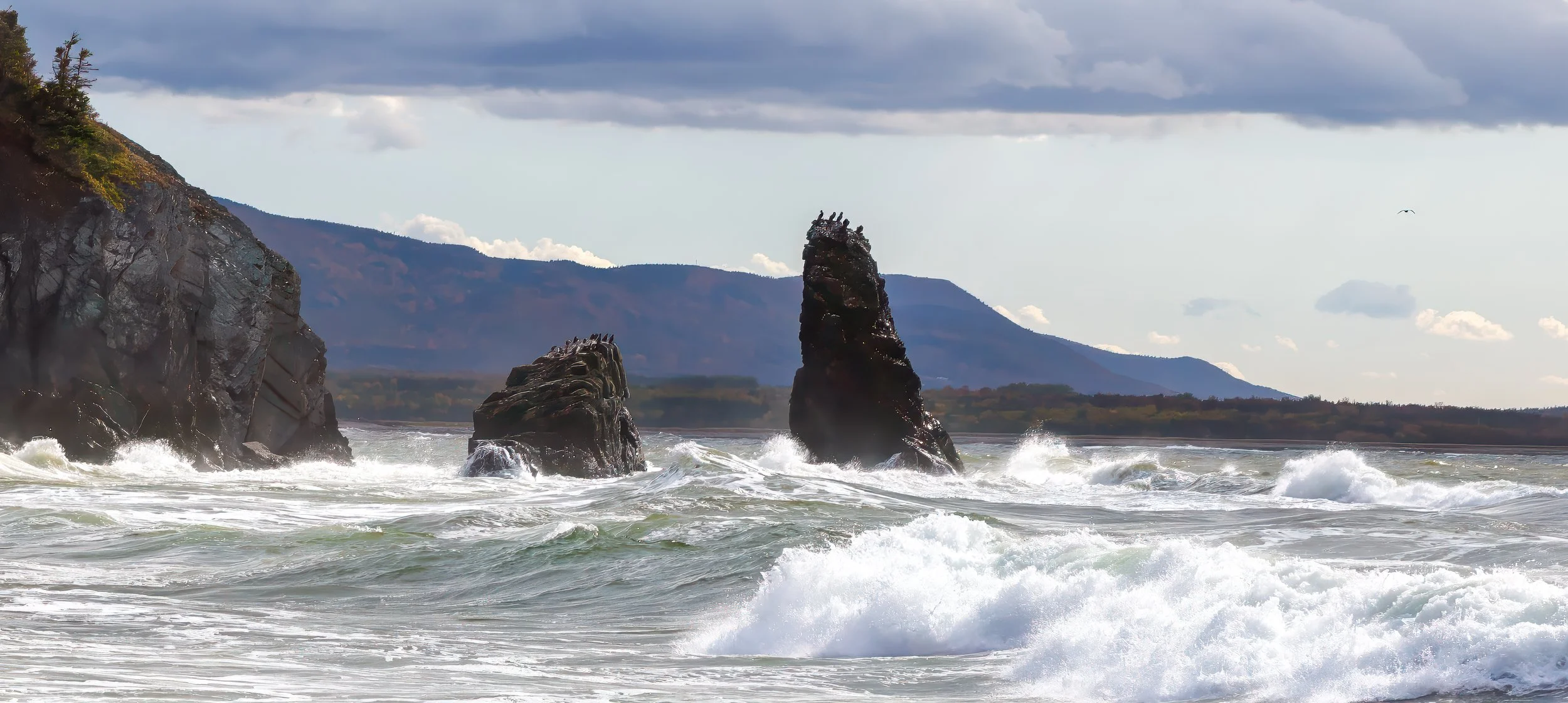 Cheticamp Beach, CB, NS