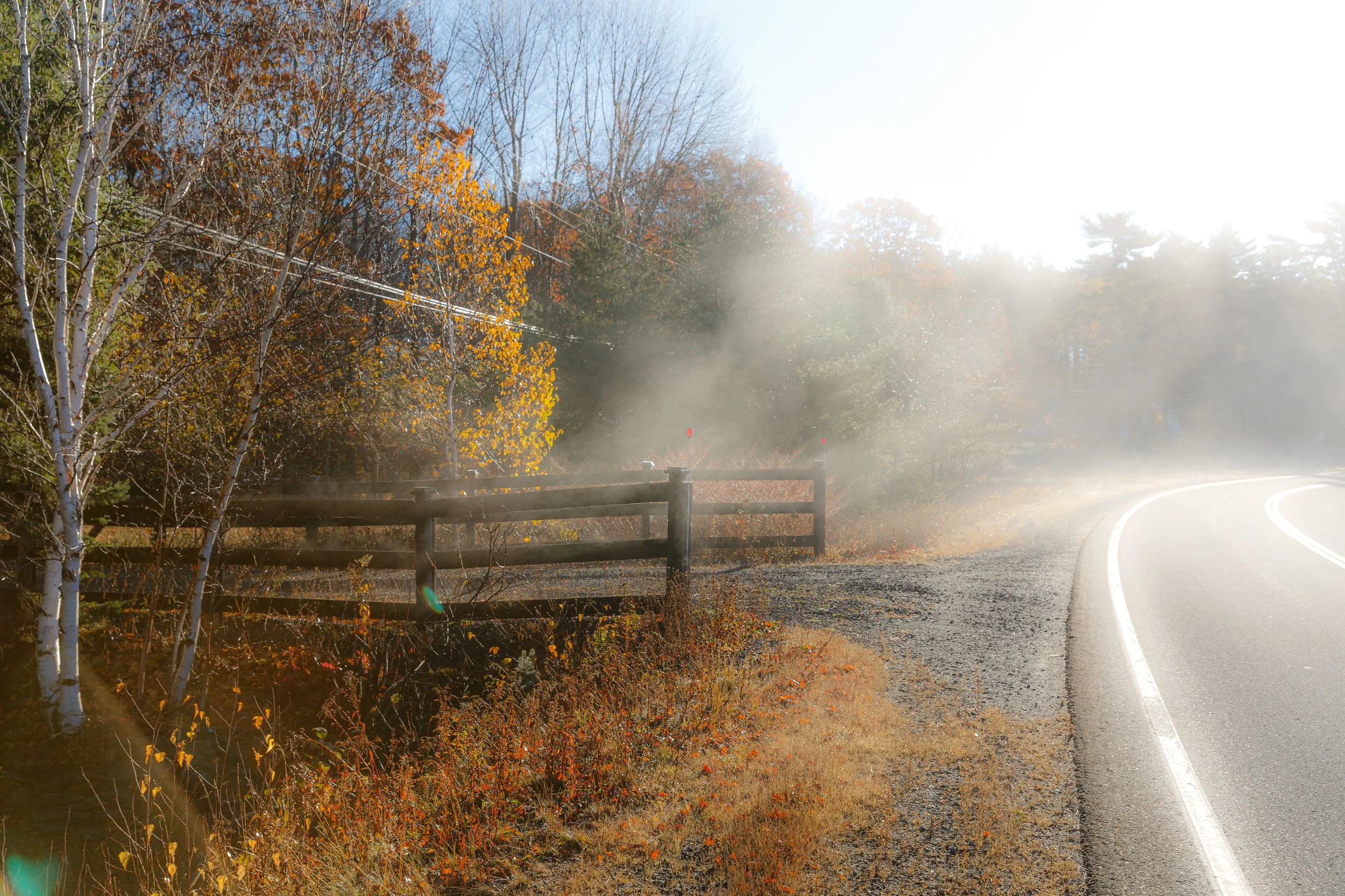 Misty Morning Along the LaHave