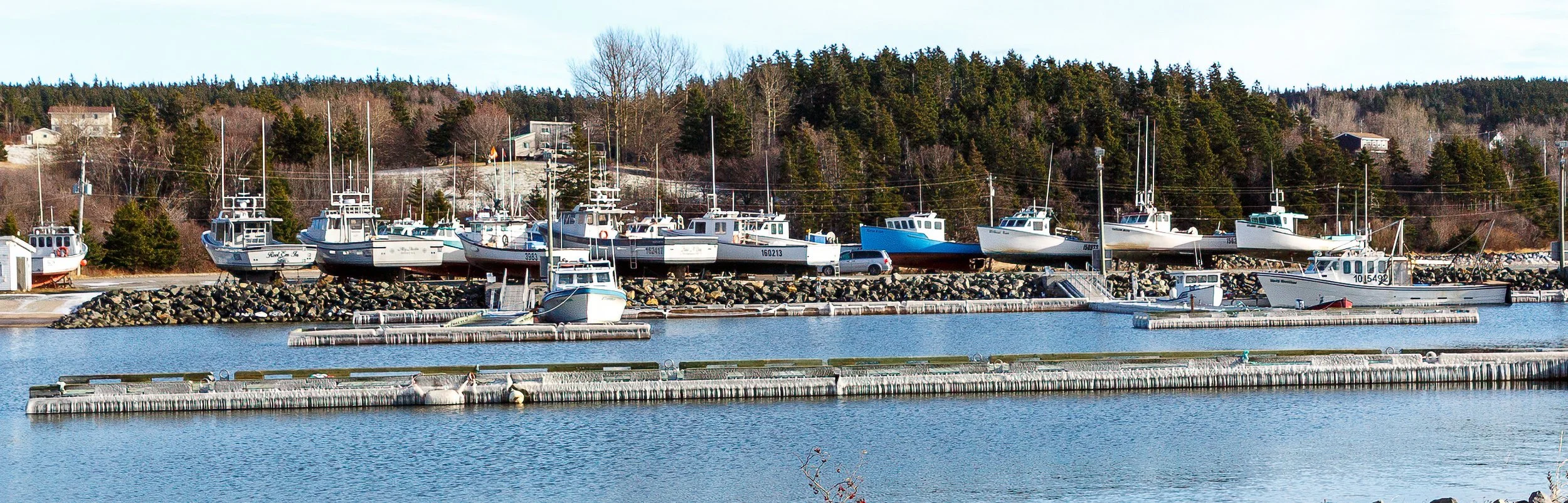 Ice on Murphy's Pond Wharf and Harbour