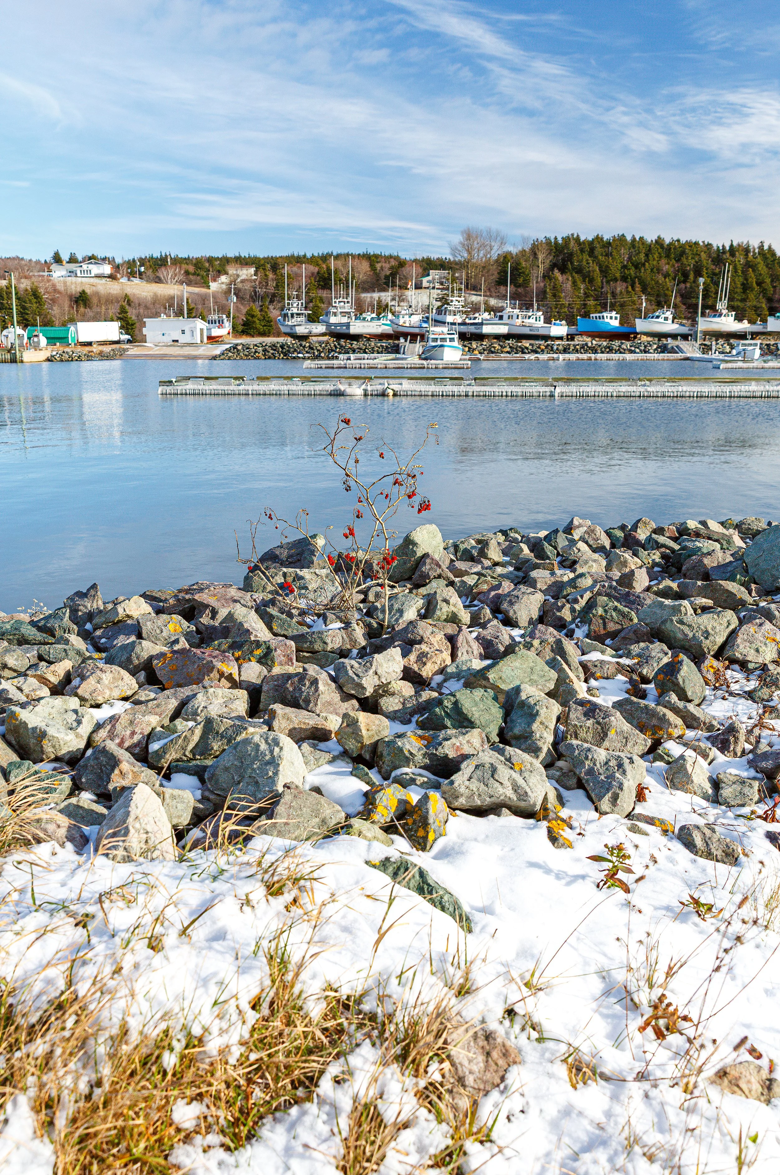 Ice on Murphy's Pond Wharf and Harbour