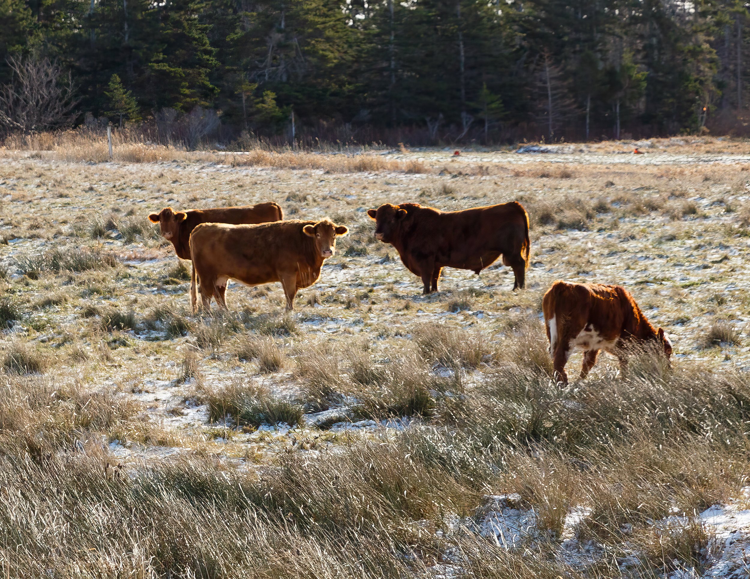 Along Colindale Road