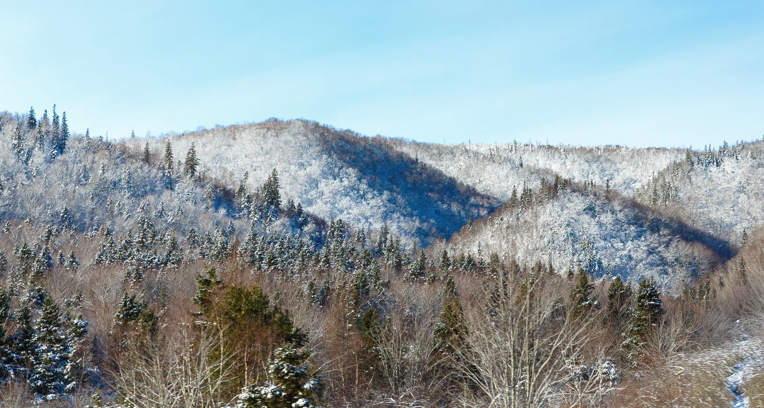 On the way to CB Highlands