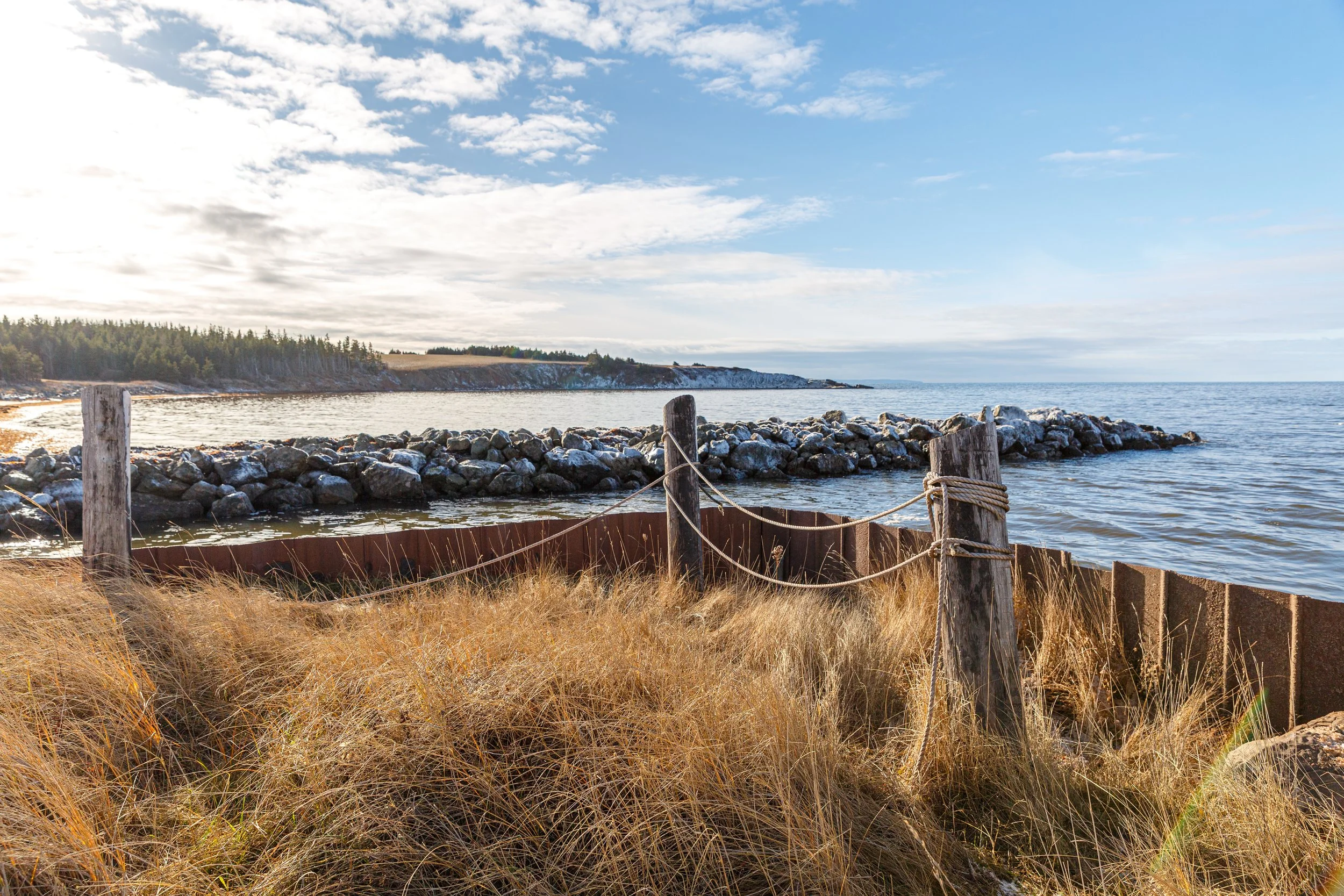 Little Judique Harbour - Icy Rocks