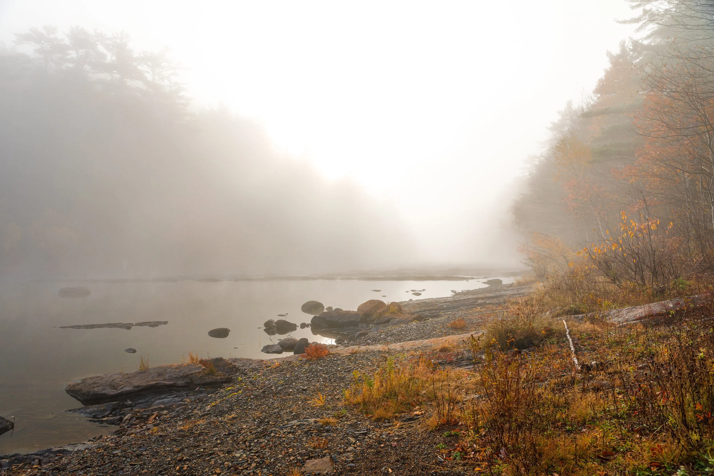 Misty Morning - LaHave River