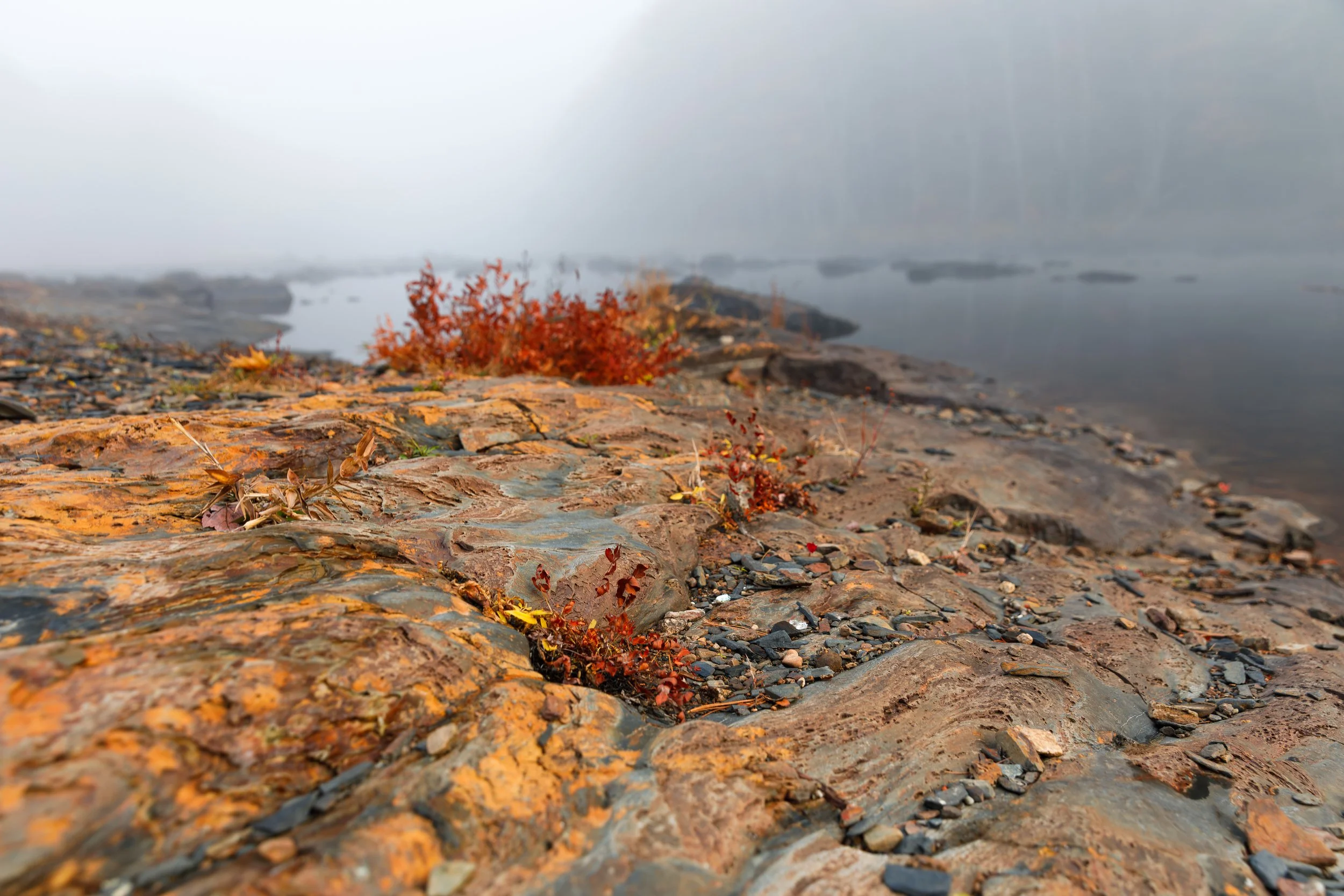 Misty Morning - LaHave River