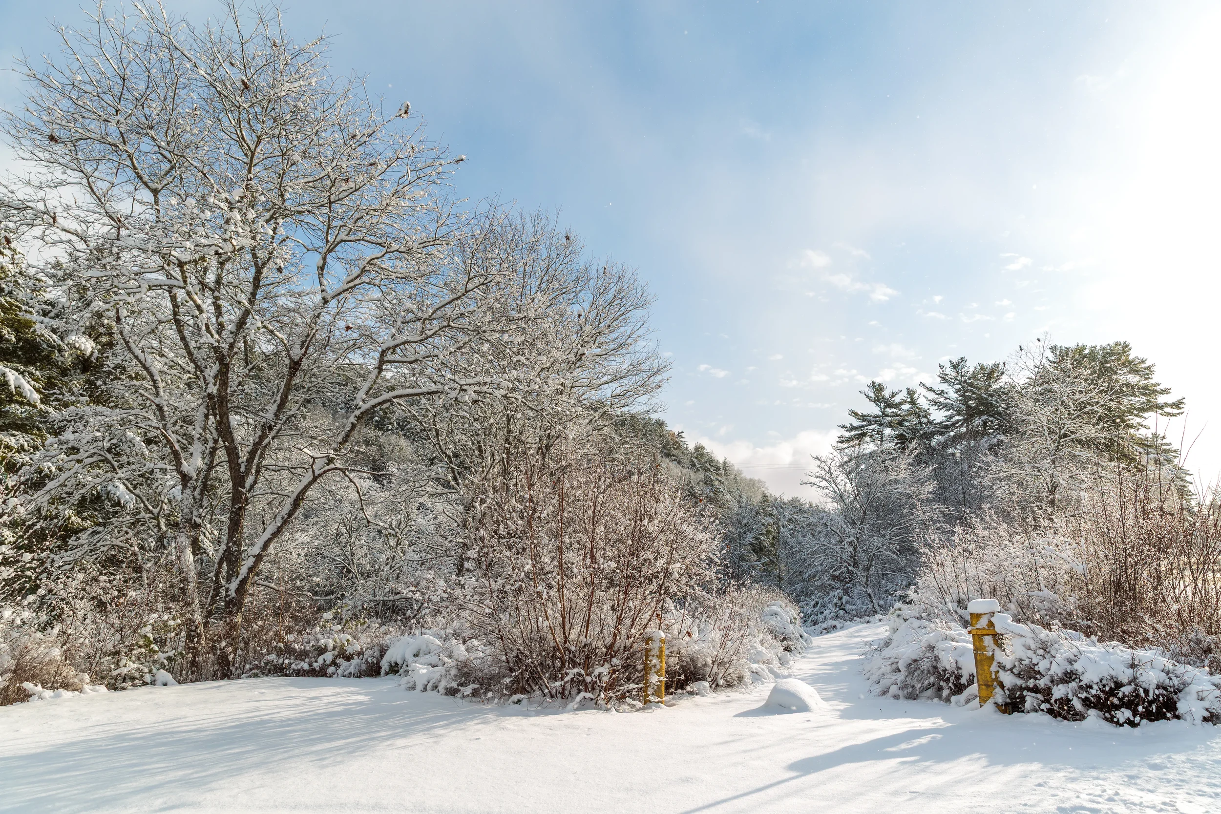 Banks of LaHave River After Snow
