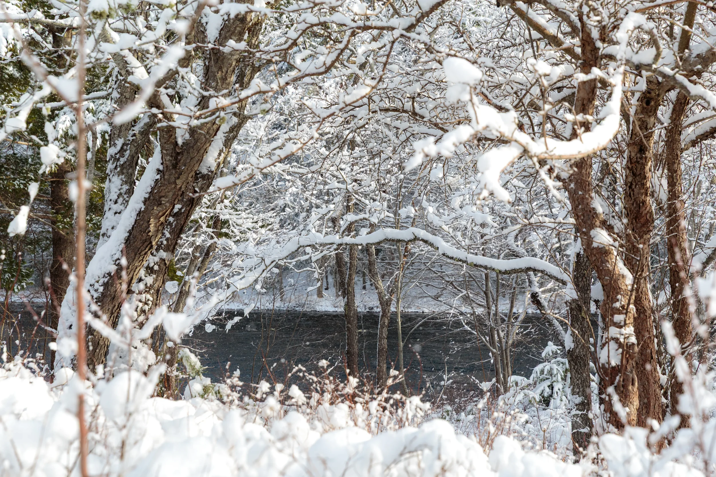 Banks of LaHave River After Snow