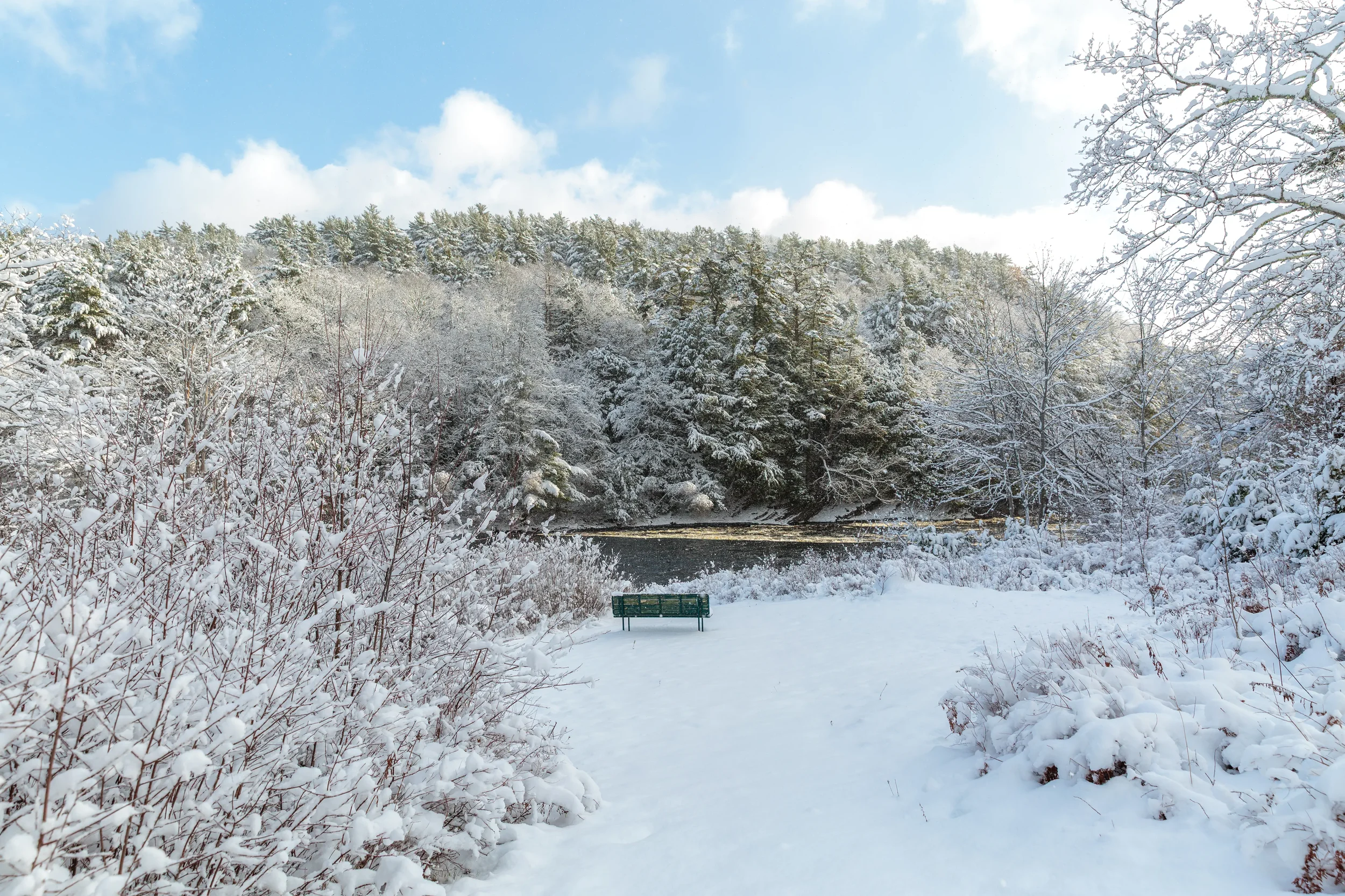 Banks of LaHave River After Snow