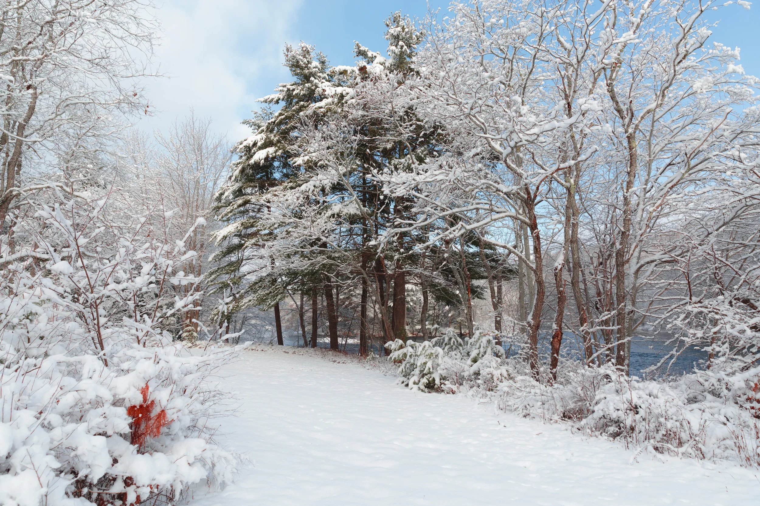 Banks of LaHave River After Snow