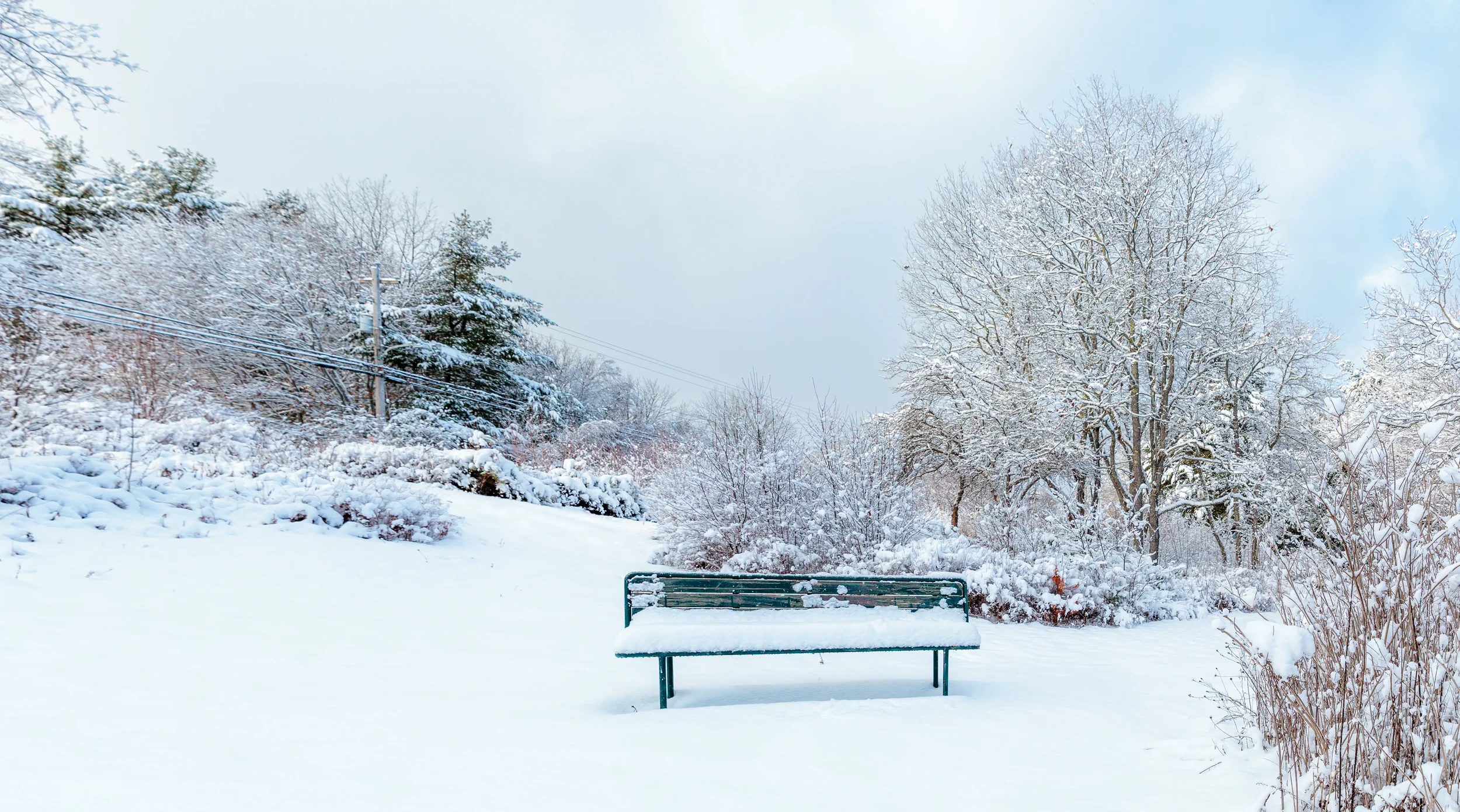 Banks of LaHave River After Snow