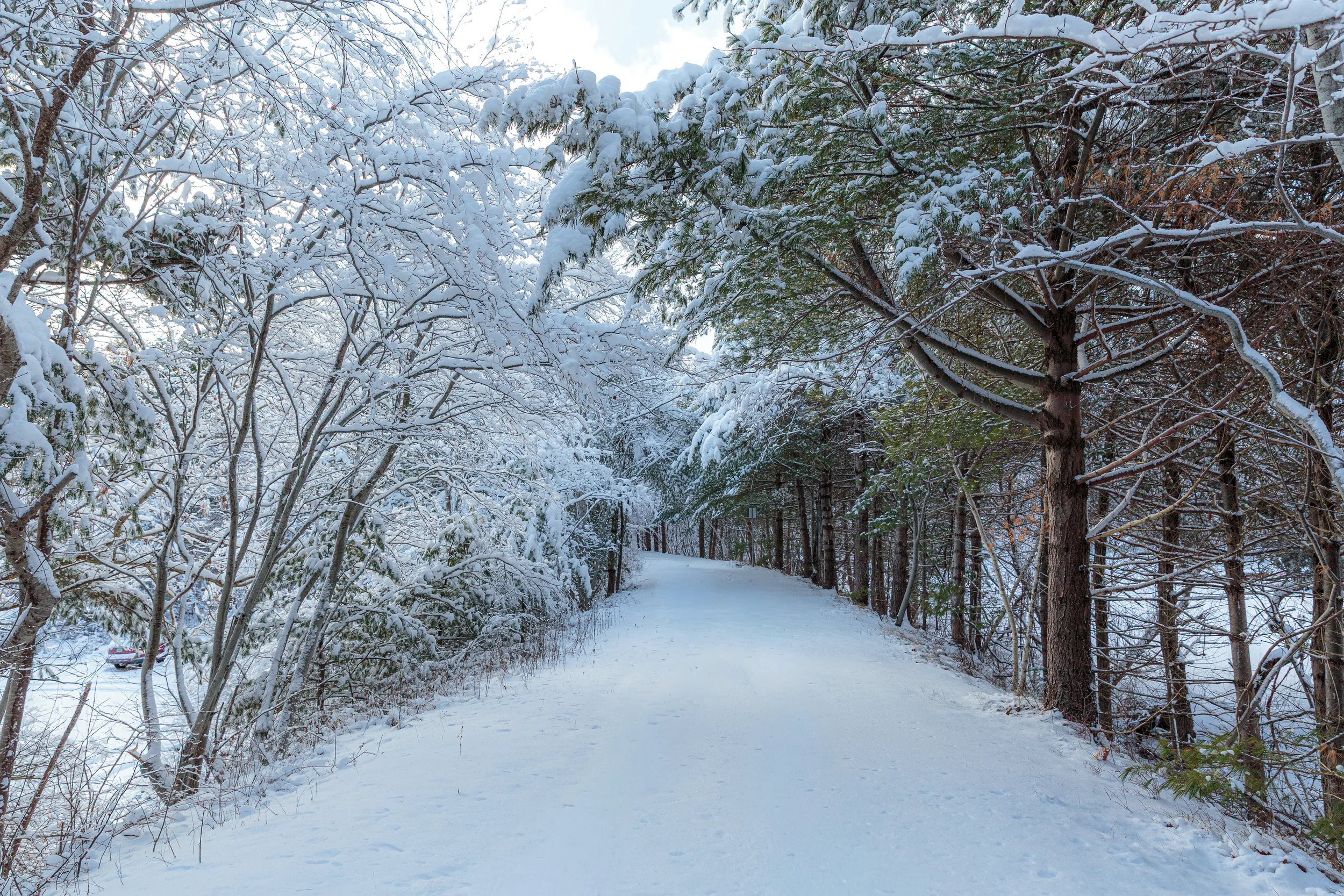 Centennial Trail, Bridgewater NS 