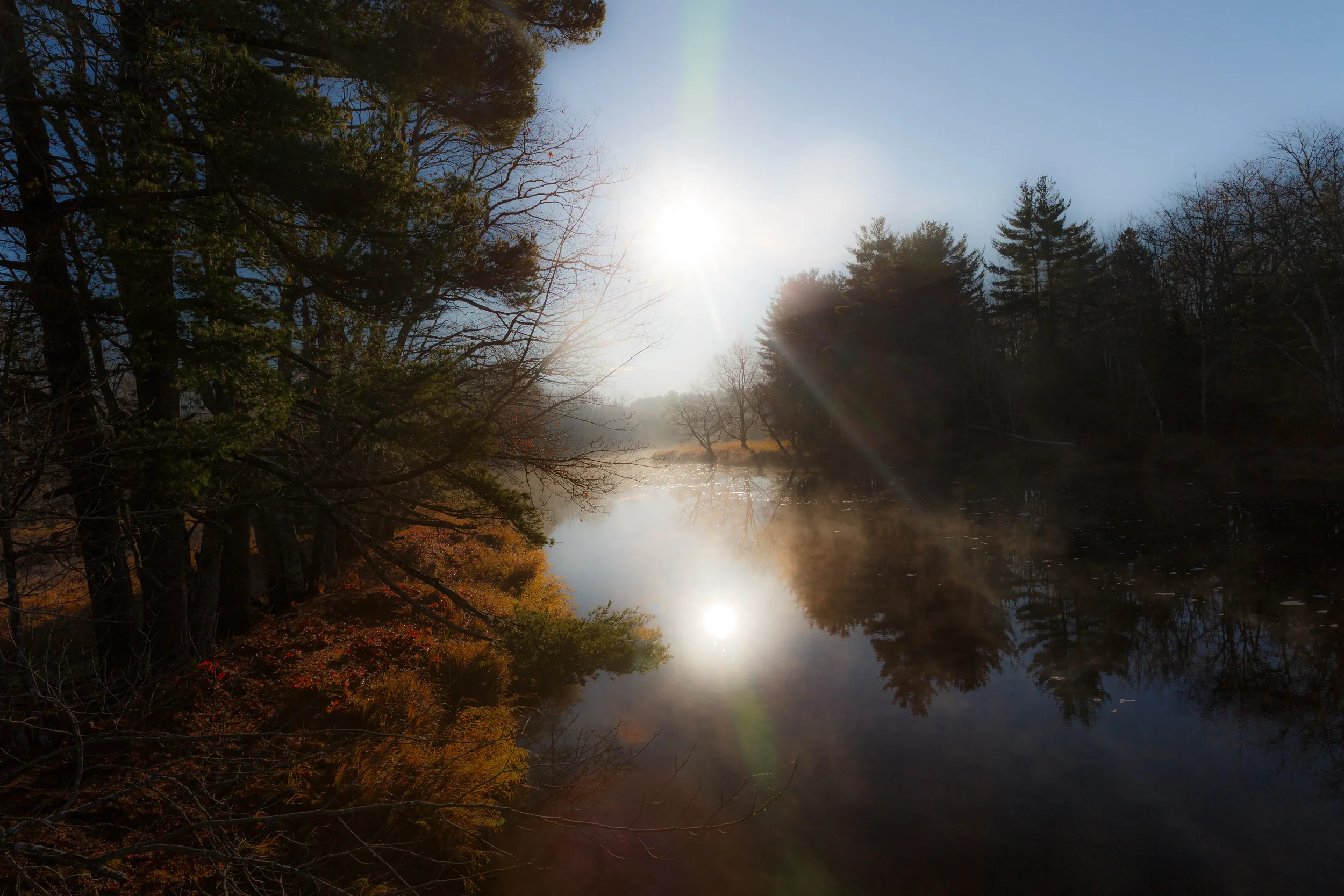 Morning Along the  LaHave River