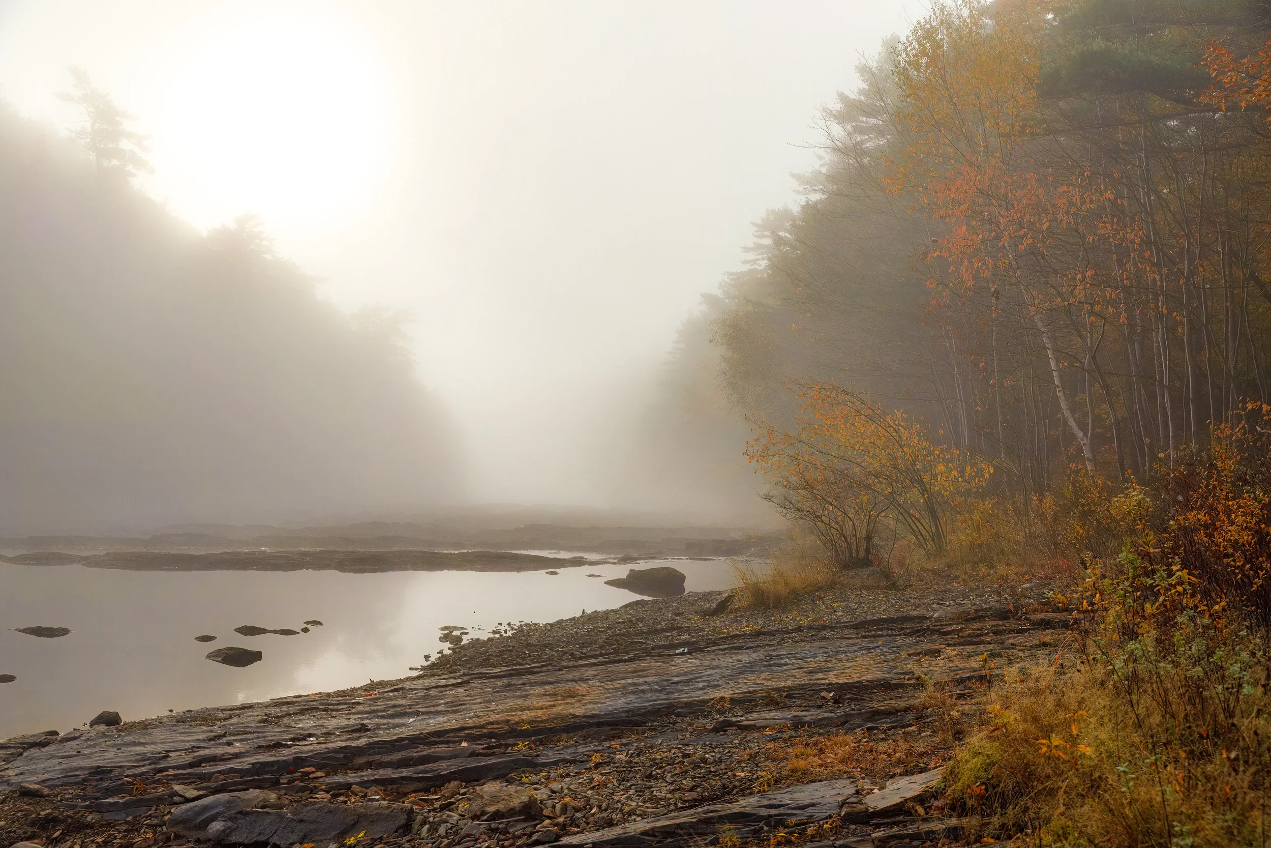 Morning Along the  LaHave River