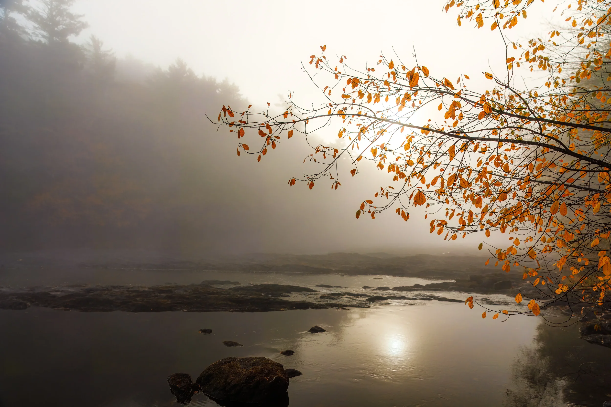 Morning Along the  LaHave River