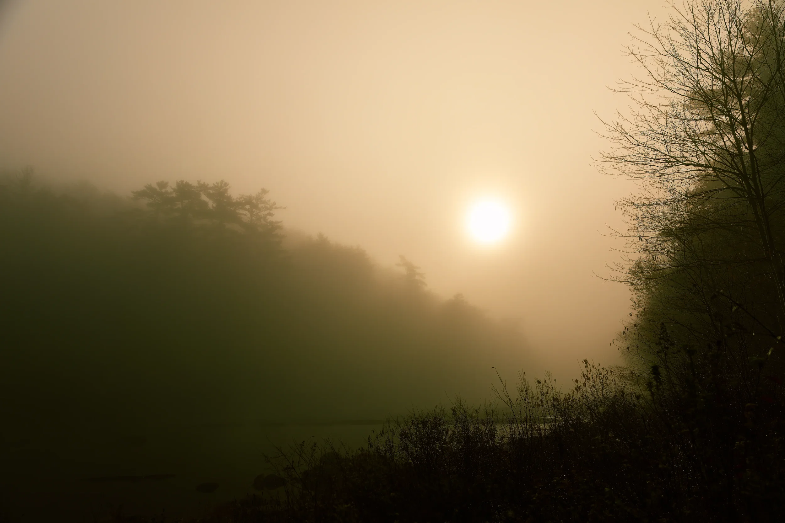 Morning Along the  LaHave River