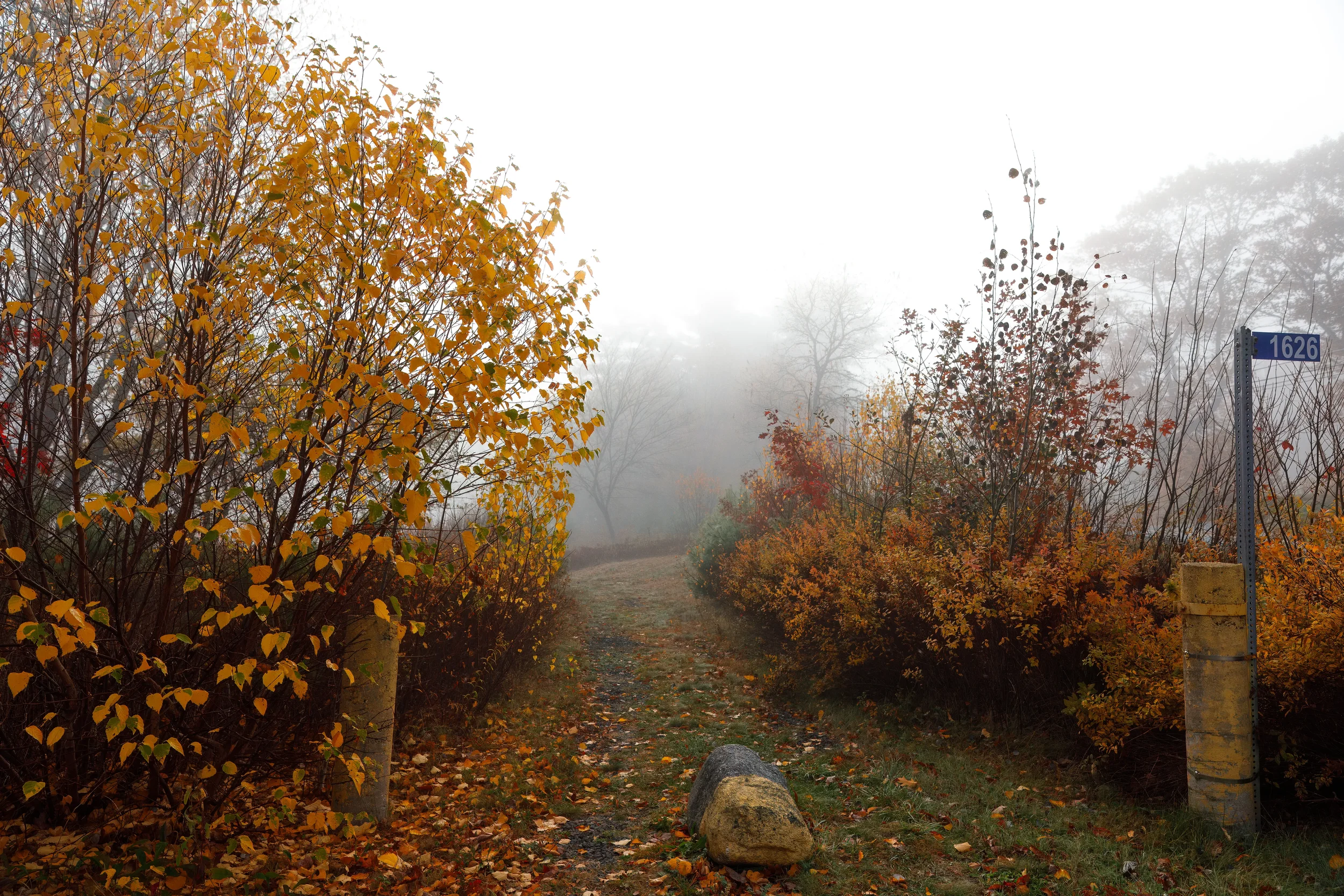 Morning Along the  LaHave River