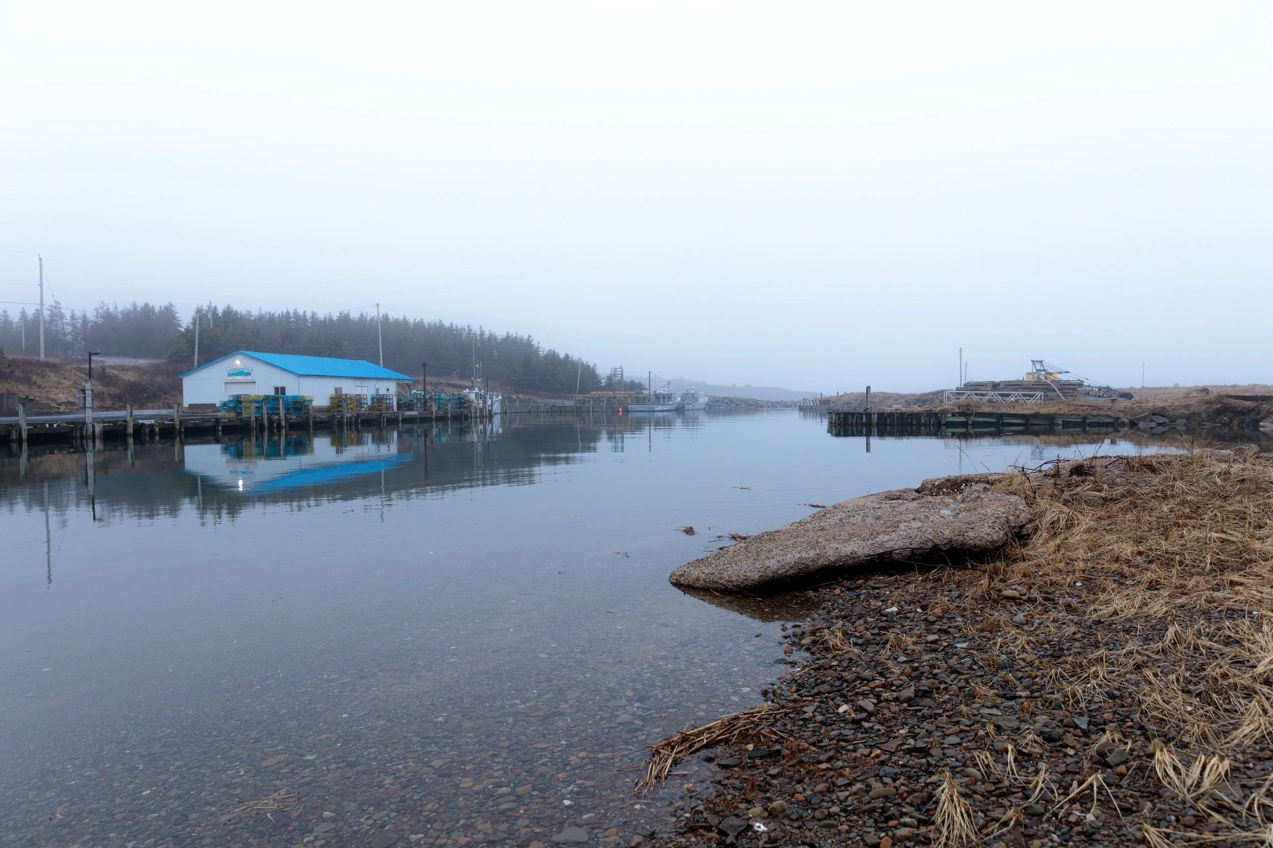 Spring Morning - Little Judique Harbour