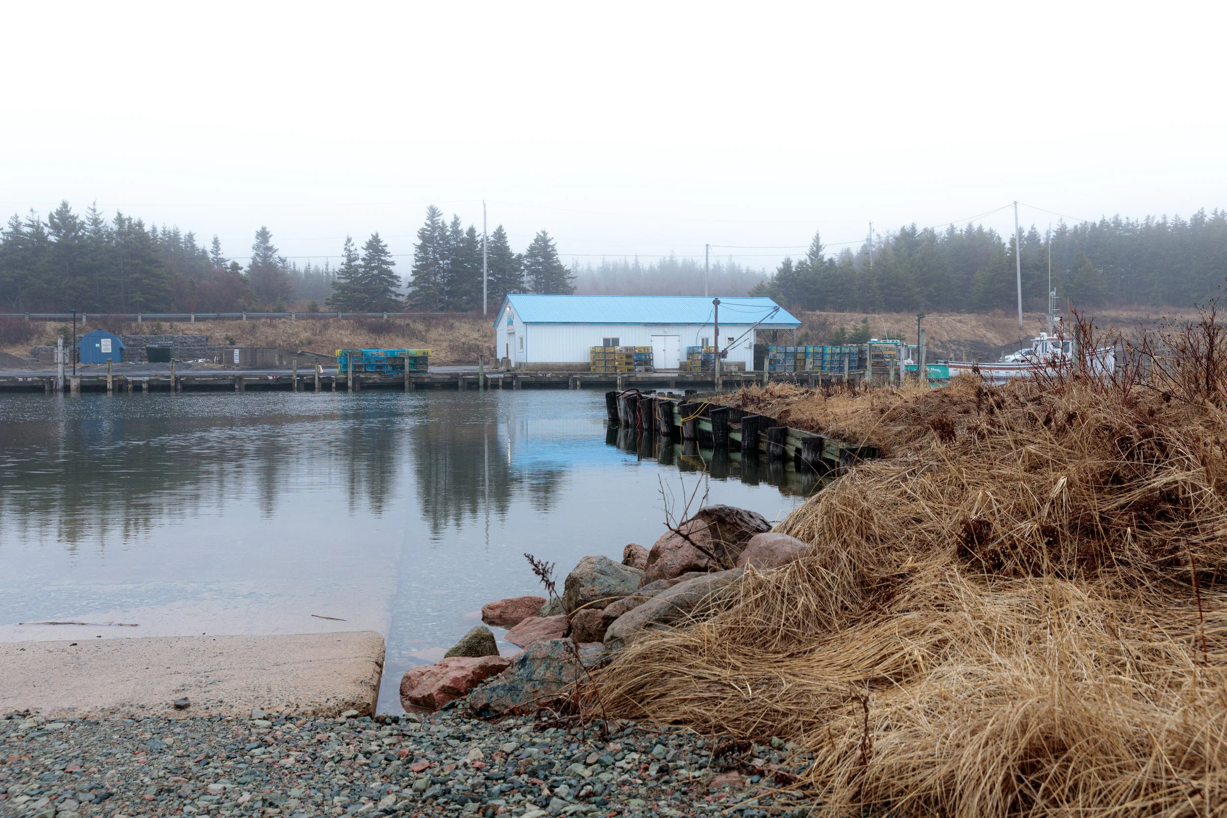 Little Judique Harbour Morning