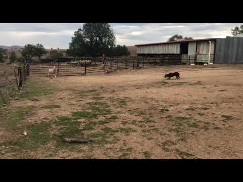 Lot 51