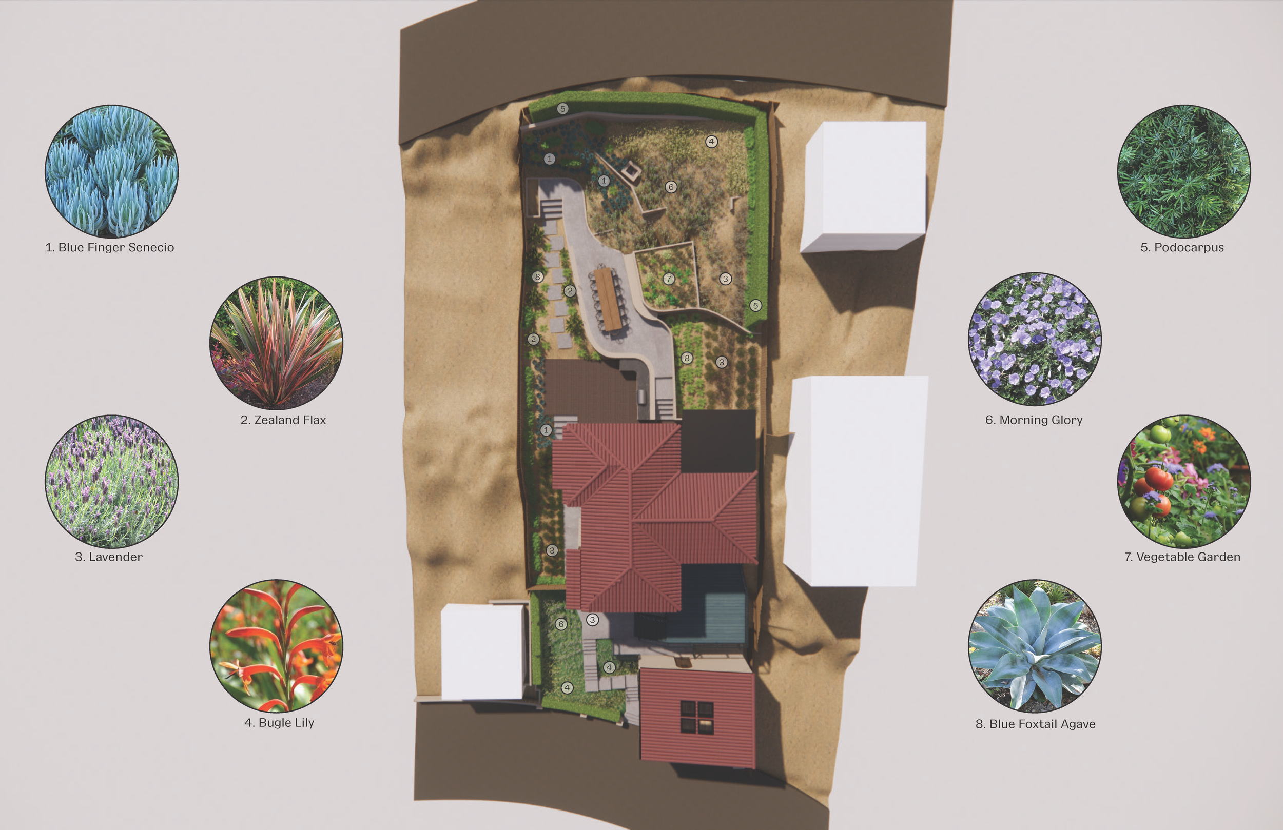 Sunshine Terrace-Studio City-Landscape-by-Allied Projects-1.png