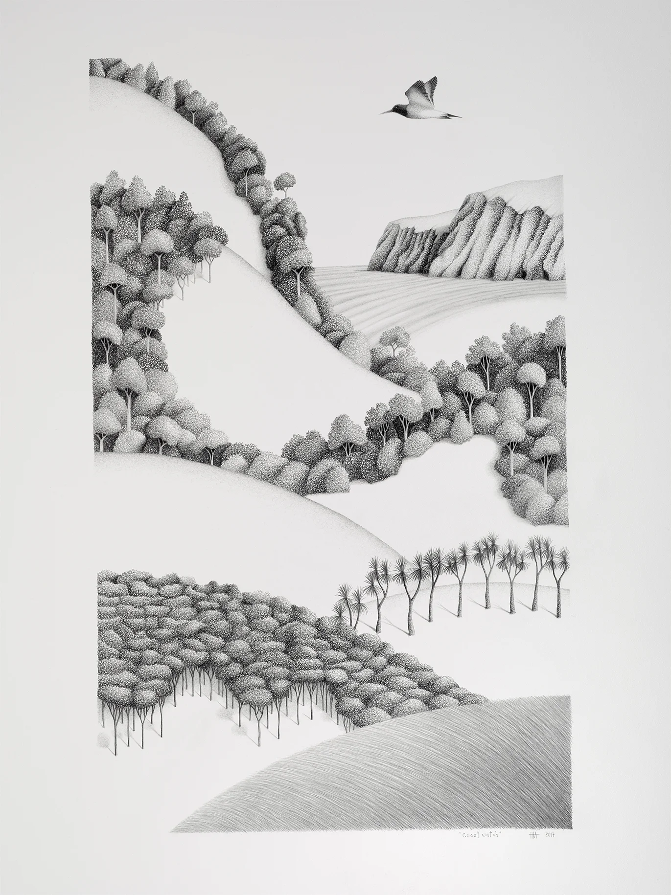 Coast watch, 2017, pencil on paper 550 x 750mm
