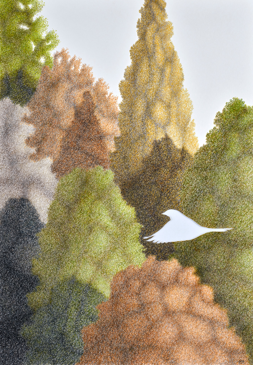 Peep show and the pleasure garden , 2019, coloured pencil on paper, 350 x 500mm