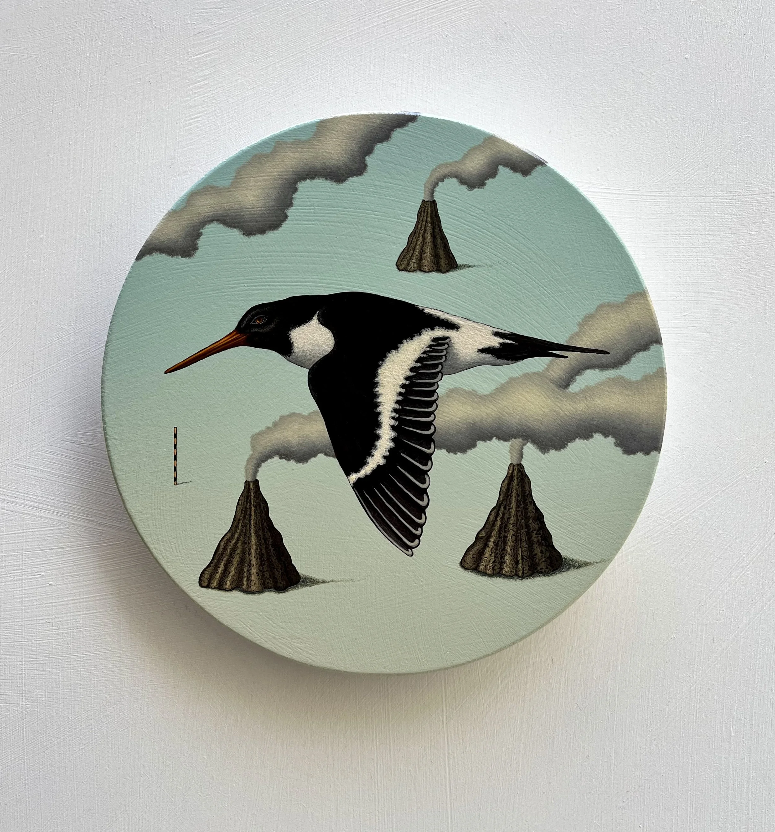    Headwind - Tōrea  , 2024, acrylic on gessoed raised board, 200mm. 