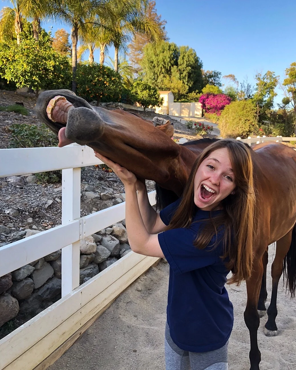 Back in June of 2018 when we found out The HNH Sanctuary was accredited 501(c)3 status.