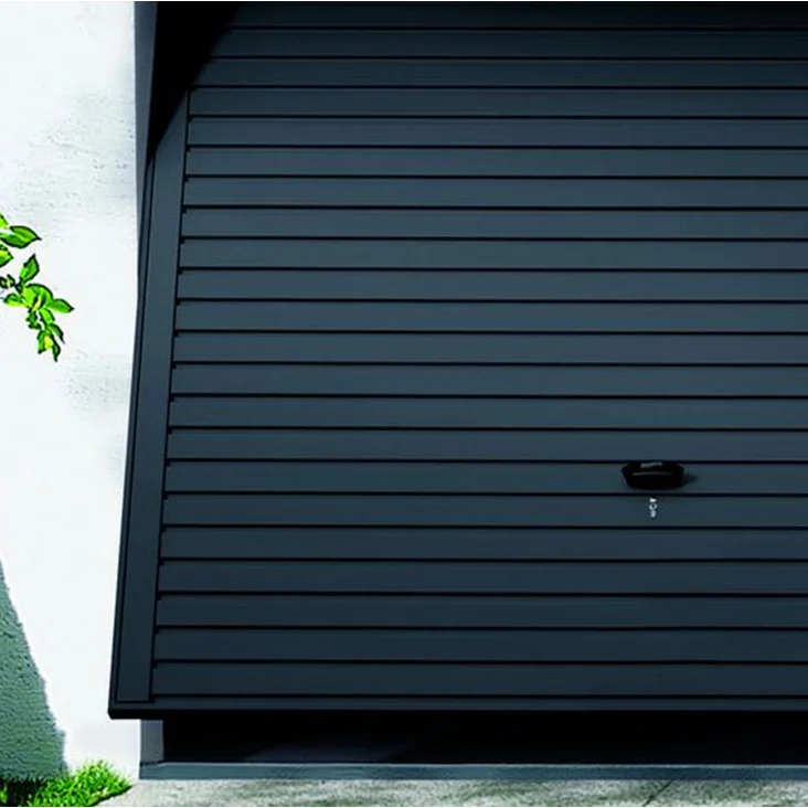 porte%2Bde%2Bgarage%252C%2Binstallation%2Bporte%2Bde%2Bgarage%252C%2Bmaison%2Bhabitat.jpg