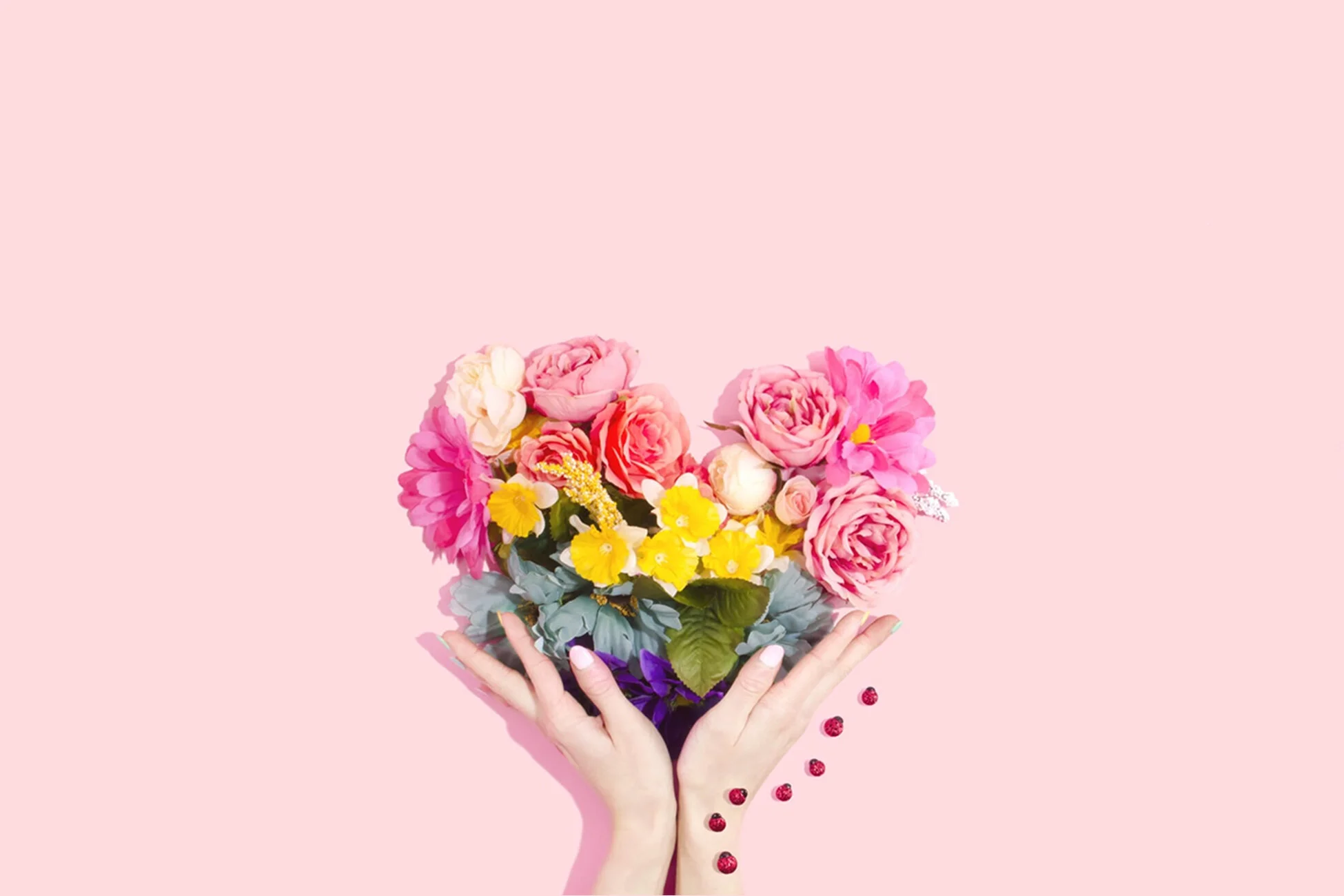   Saint Valentin Catalogue  
